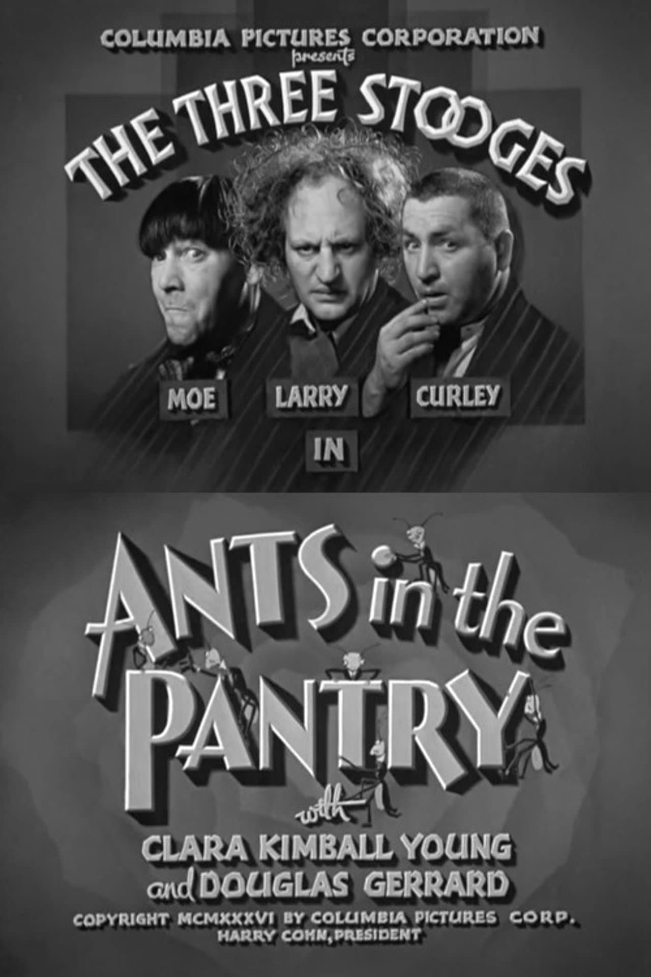 Ants in the Pantry preview 2