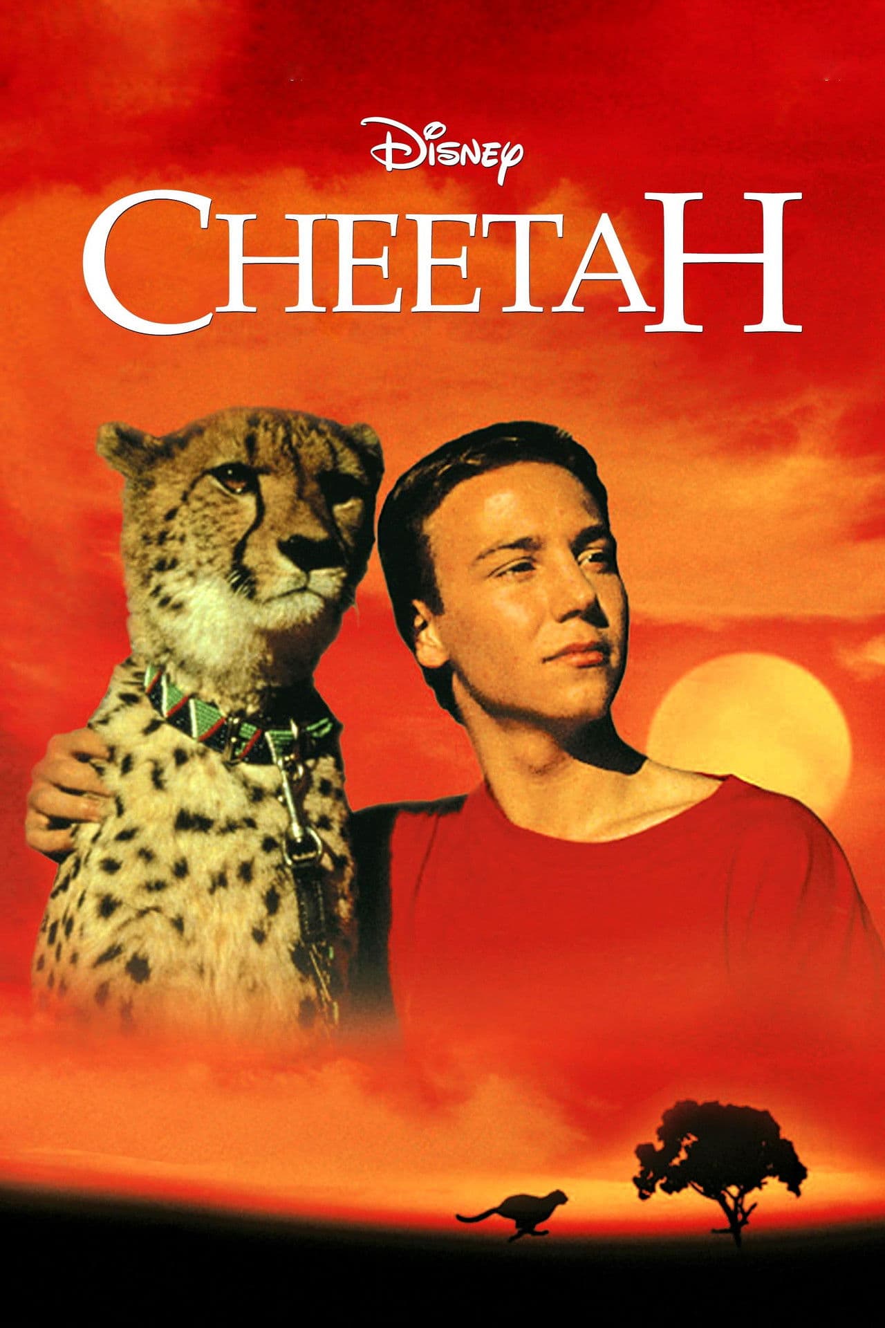 Cheetah preview 2
