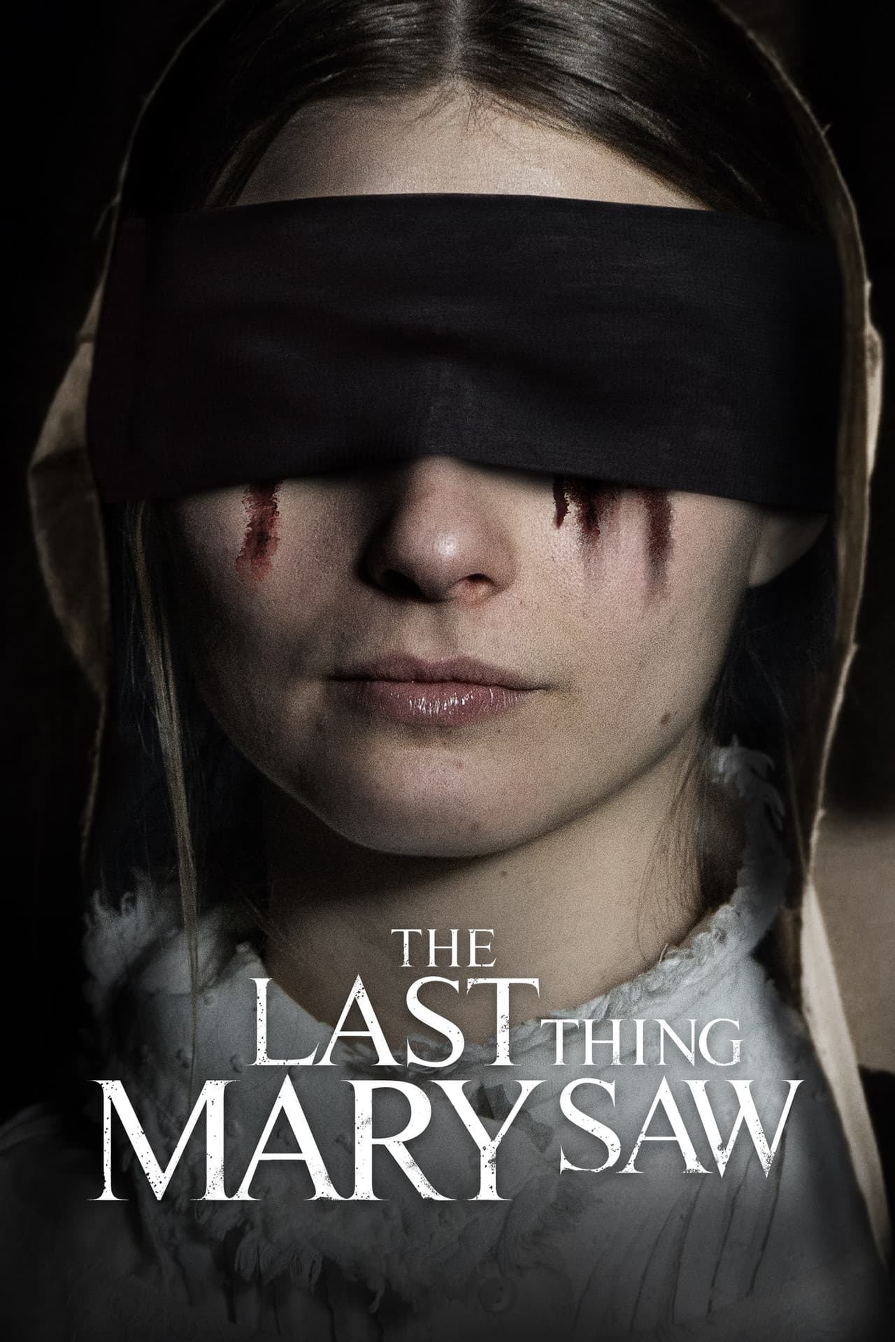 The Last Thing Mary Saw preview 2