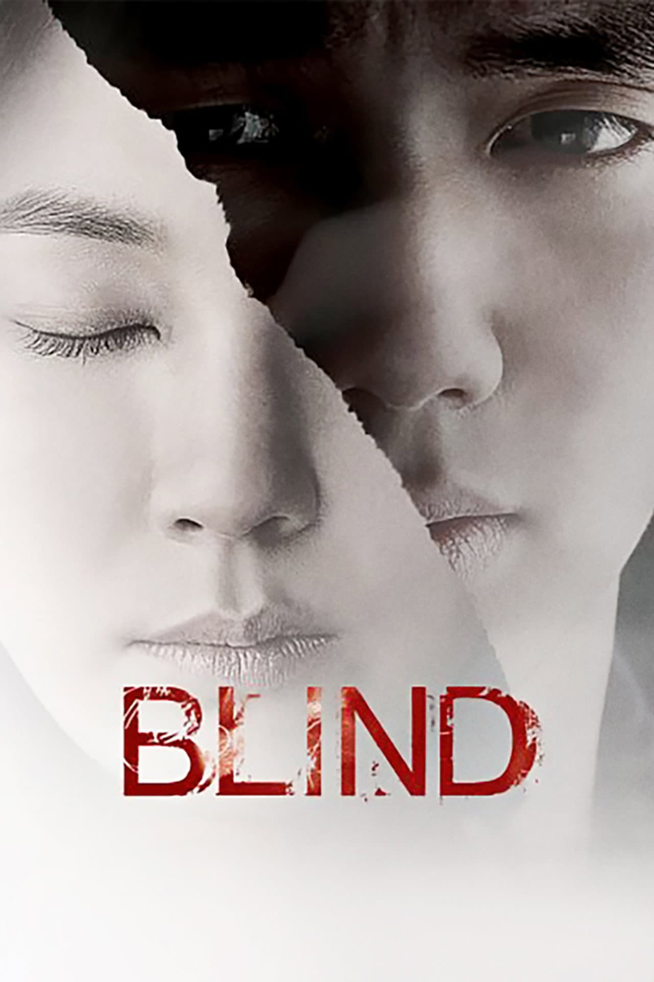Blind preview 2