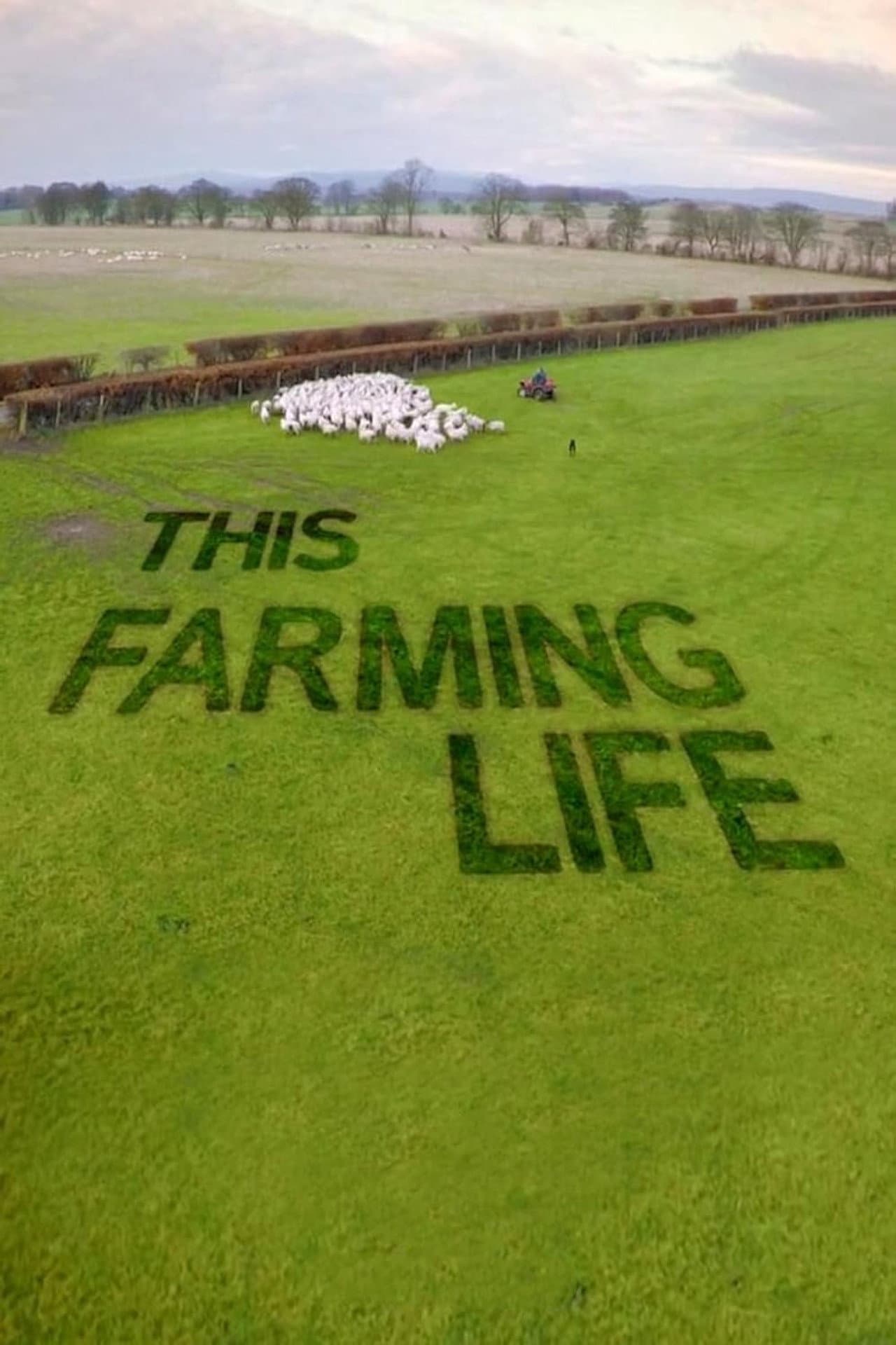 This Farming Life preview 2