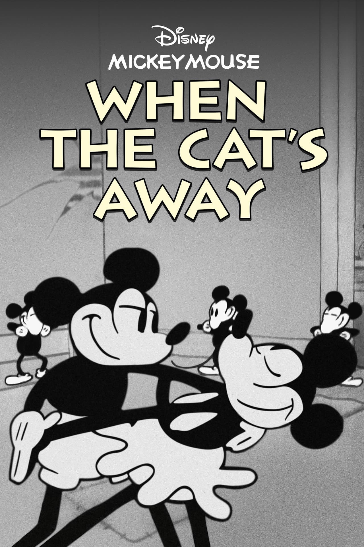 When the Cat's Away preview 2