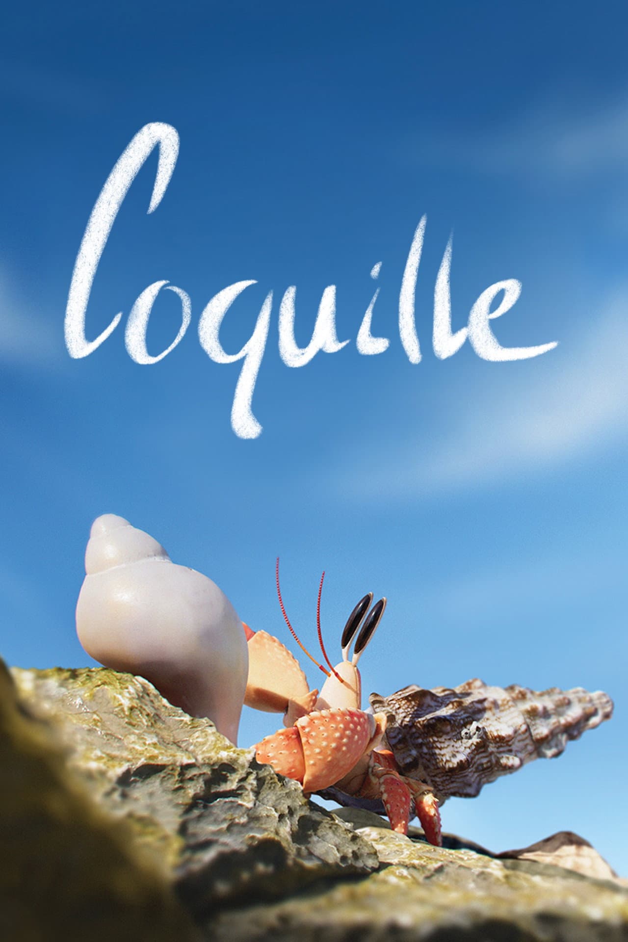 Shellfish preview 2
