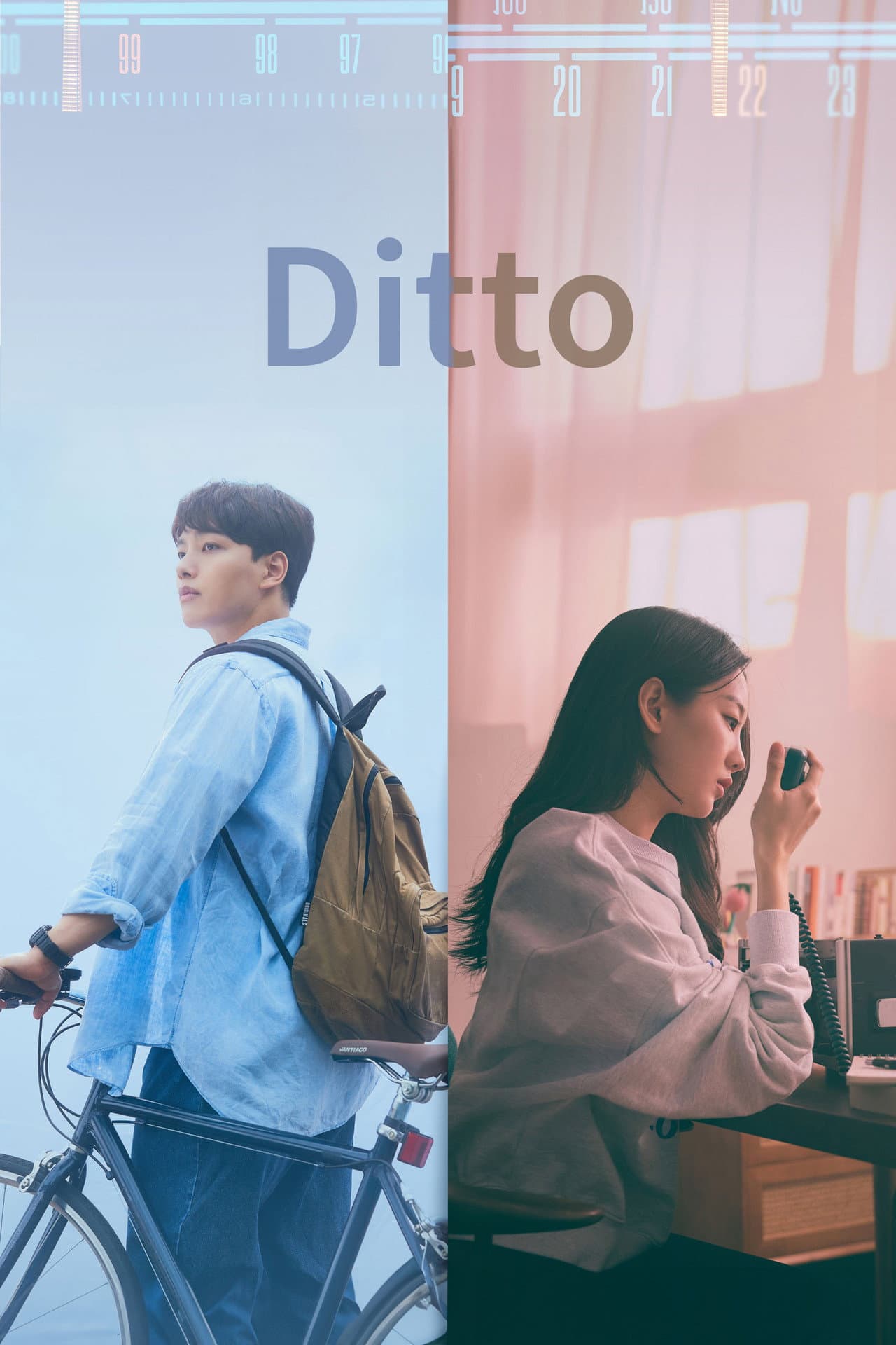 Ditto preview 2