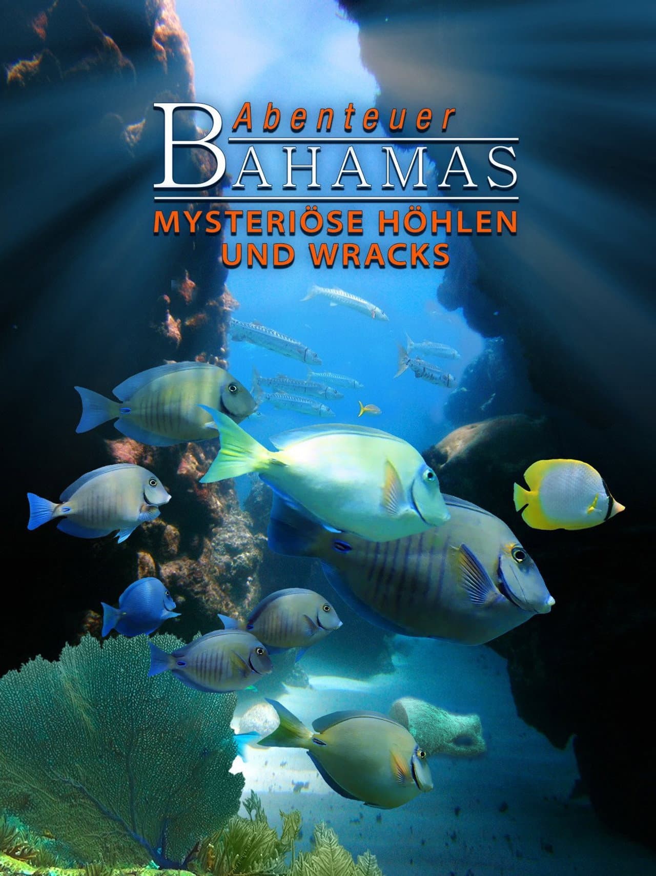 Adventure Bahamas 3D - Mysterious Caves And Wrecks preview 1