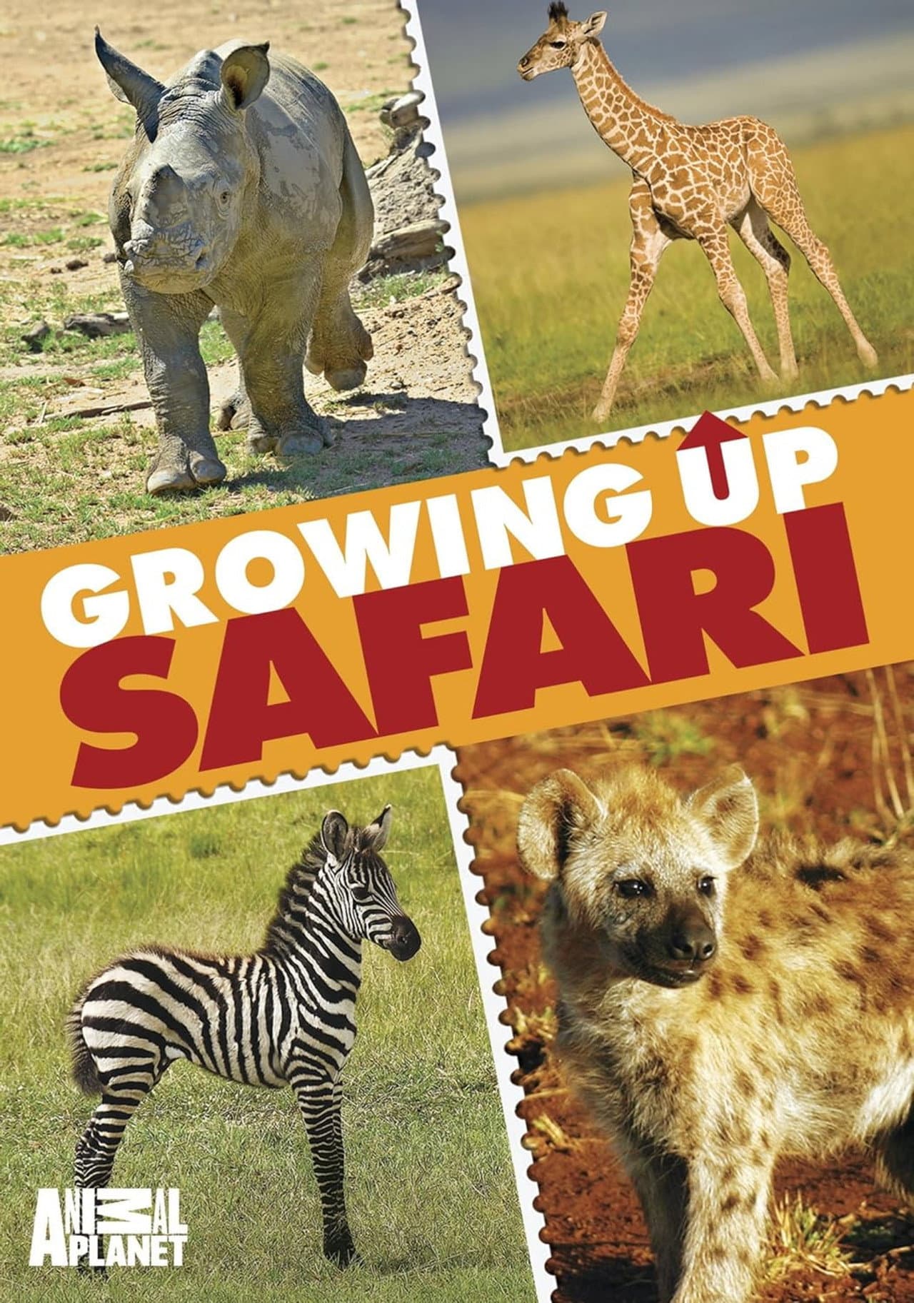 Animal Planet: Growing Up Safari preview 1