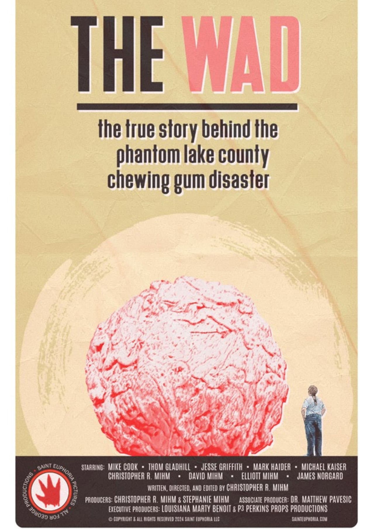 The Wad: The True Story Behind The Phantom Lake County Chewing Gum Disaster preview 1