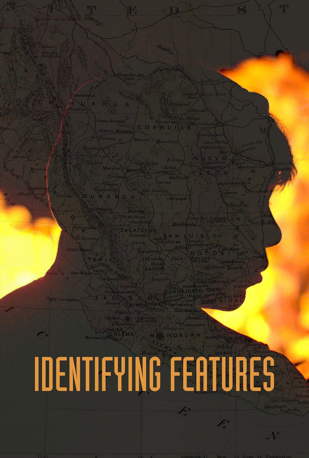 Identifying Features preview 2