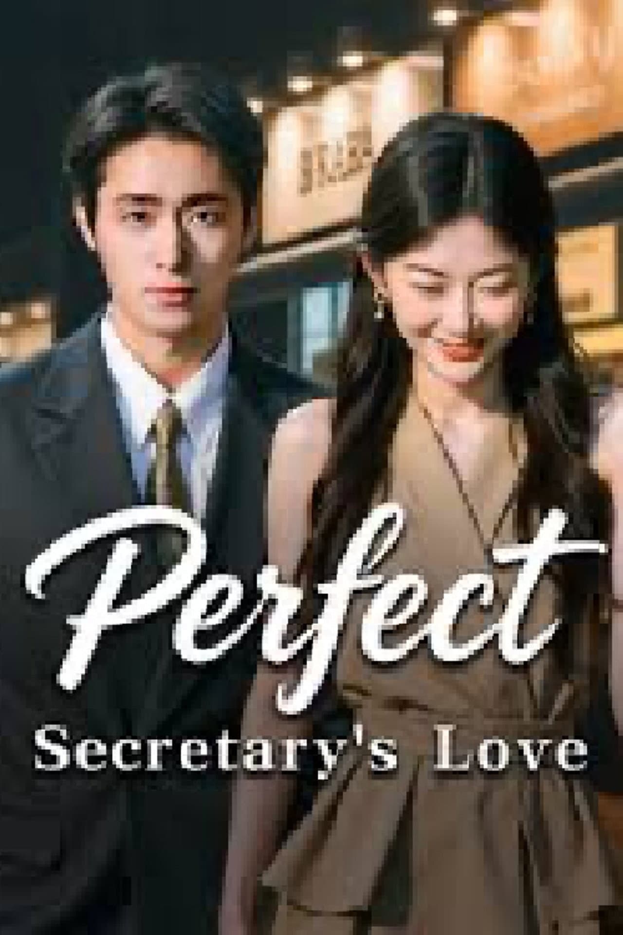 Perfect Secretary's Love preview 2