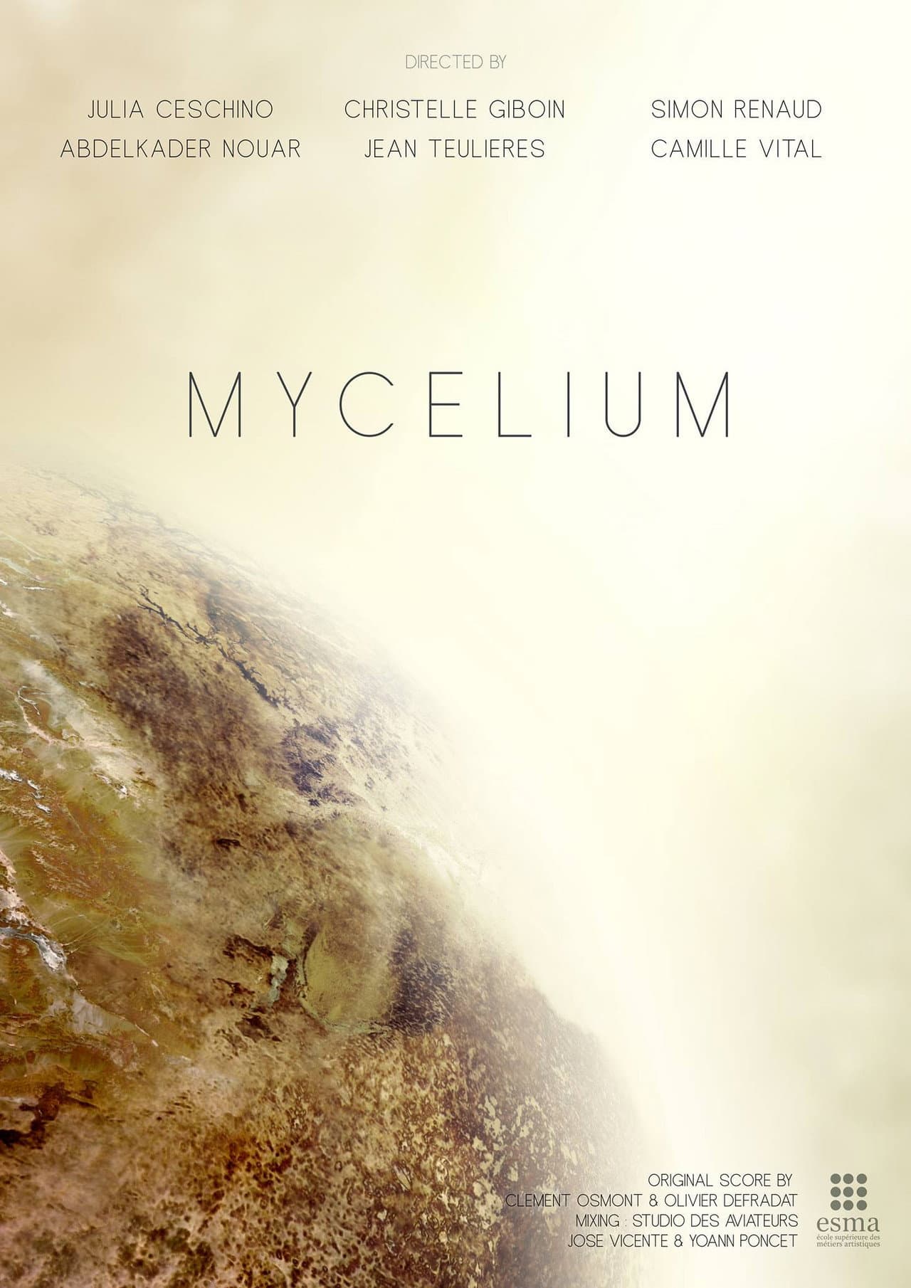 Mycelium preview 2