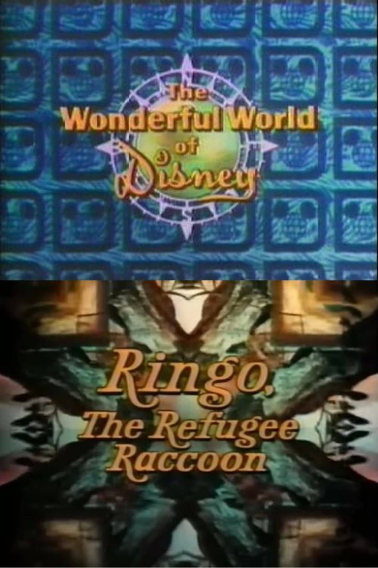 Ringo, the Refugee Raccoon preview 1