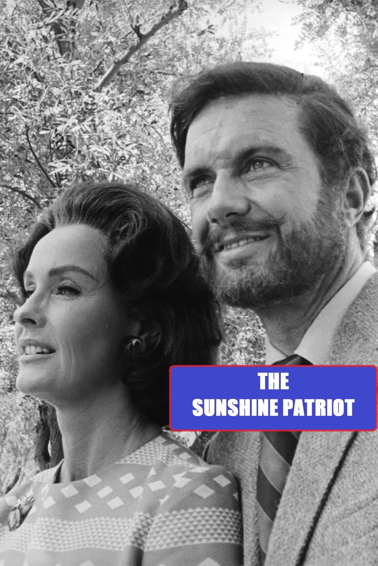 The Sunshine Patriot preview 1