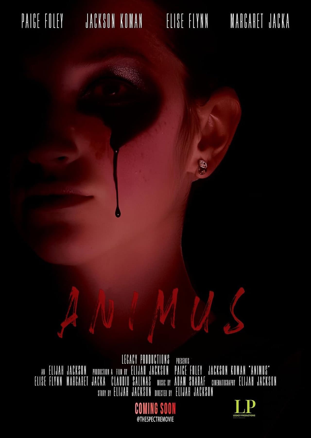 Animus preview 2