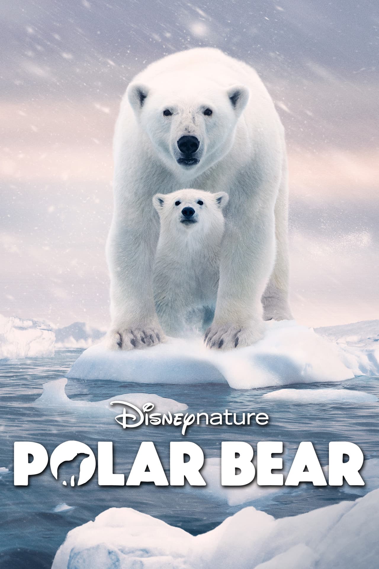 Polar Bear preview 2