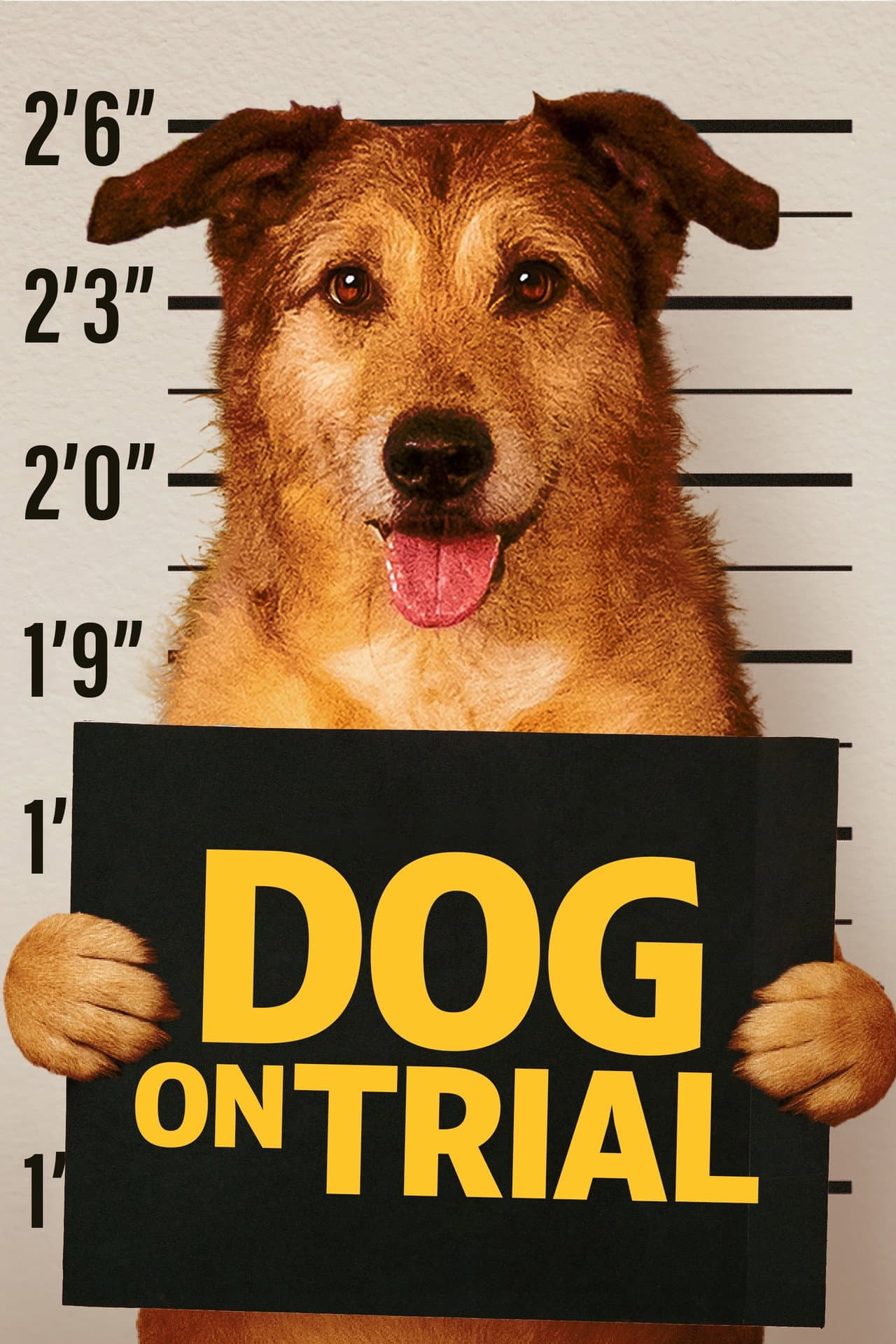 Dog on Trial preview 2