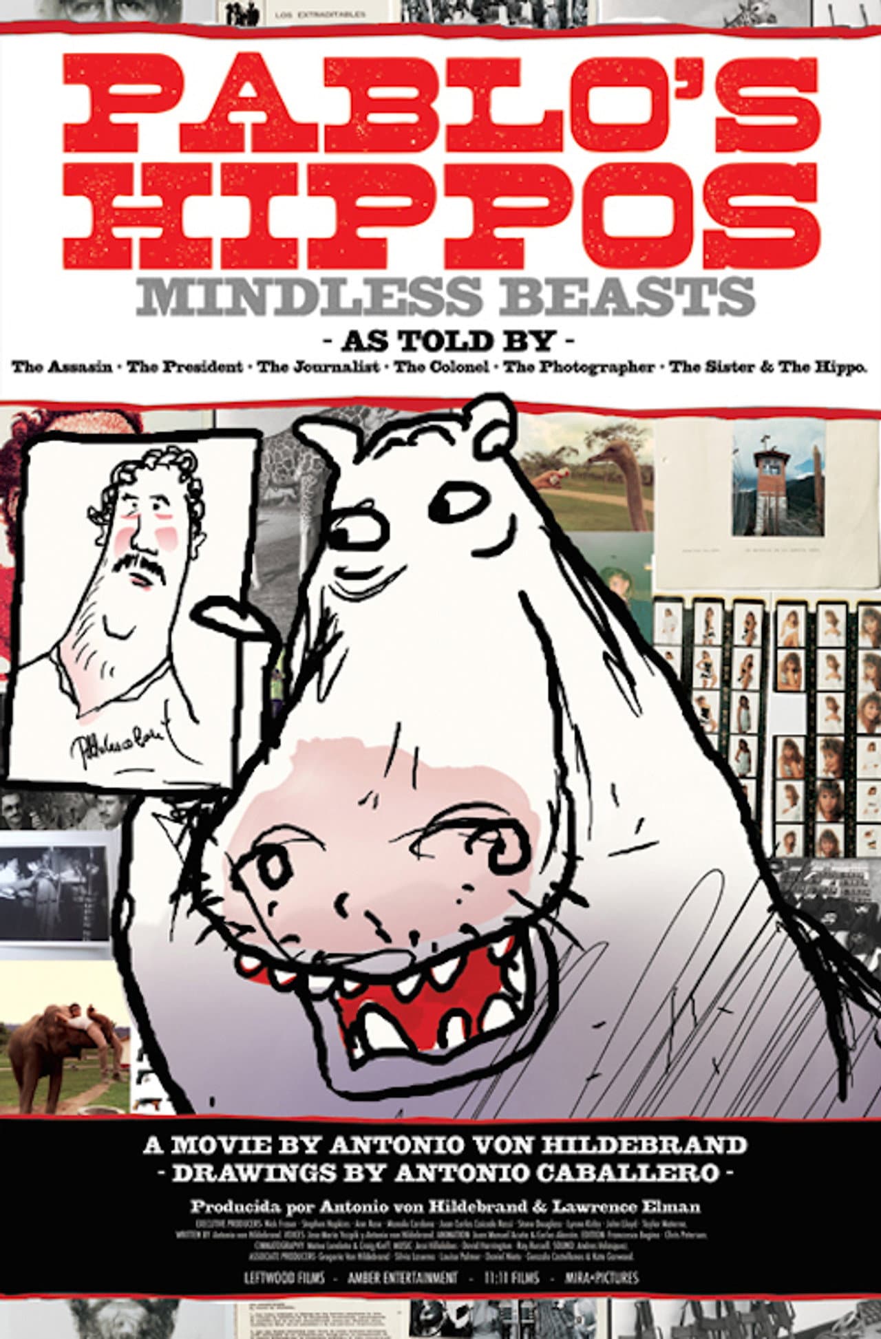 Pablo's Hippos preview 1