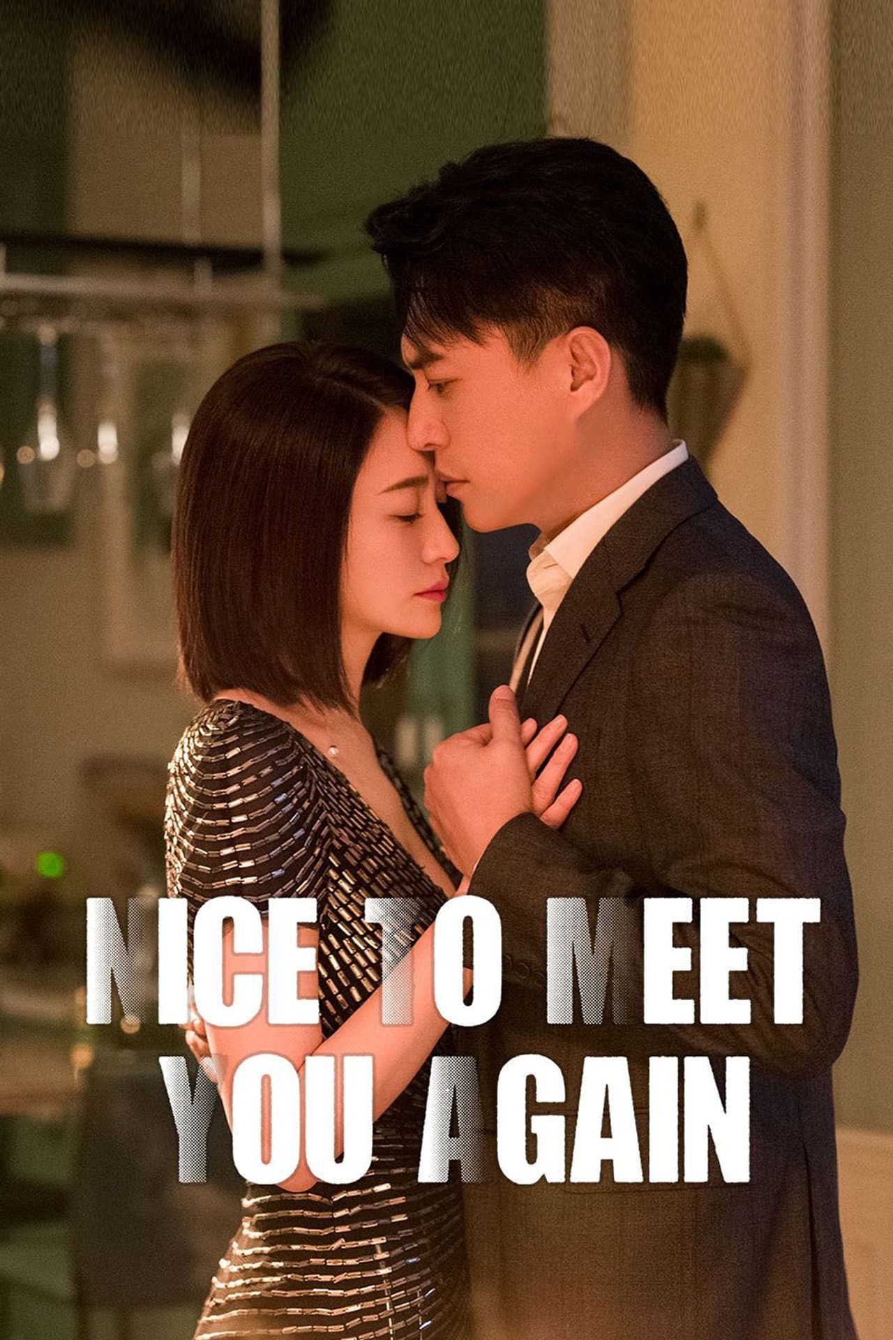 Nice to Meet You Again preview 2