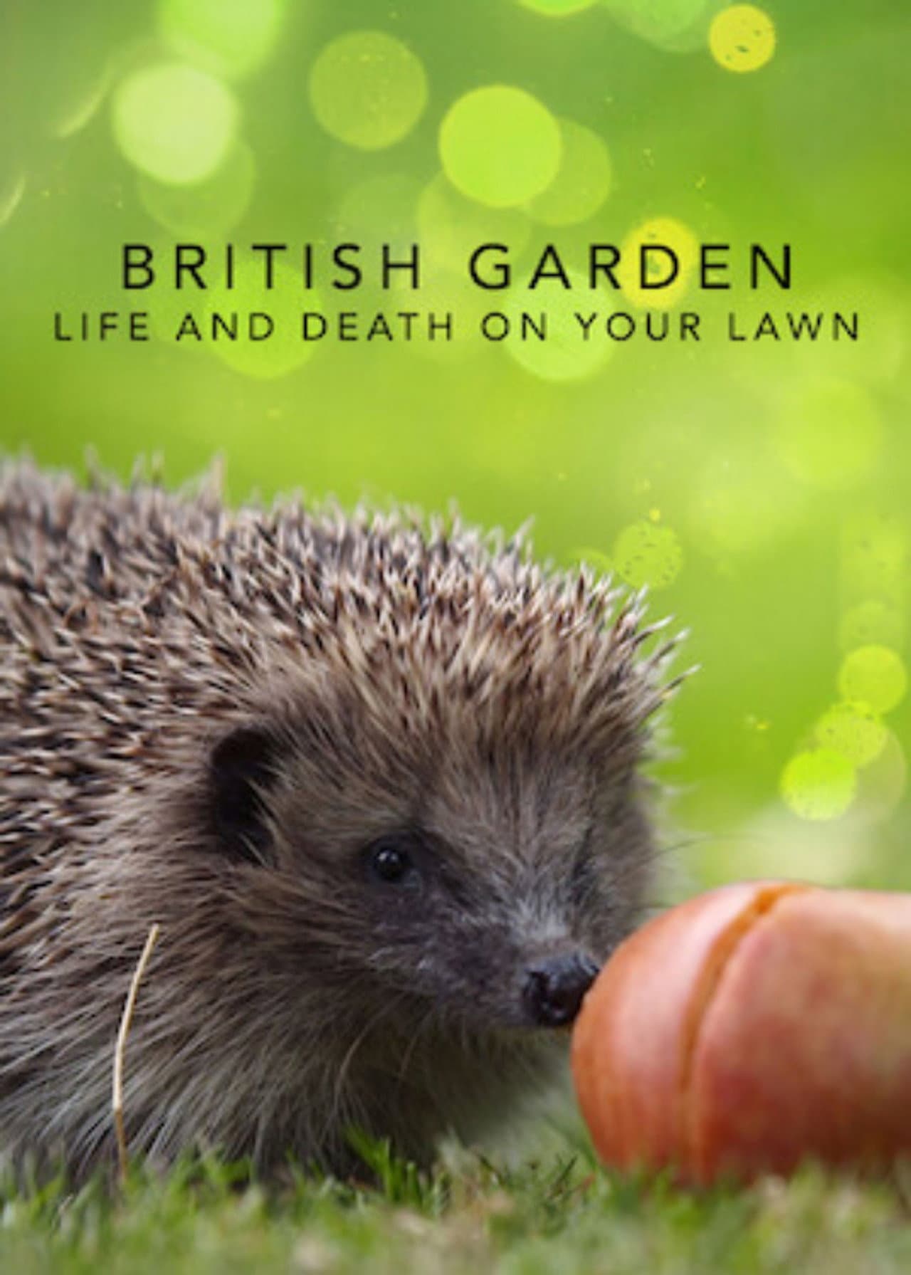 The British Garden: Life and Death on Your Lawn preview 2