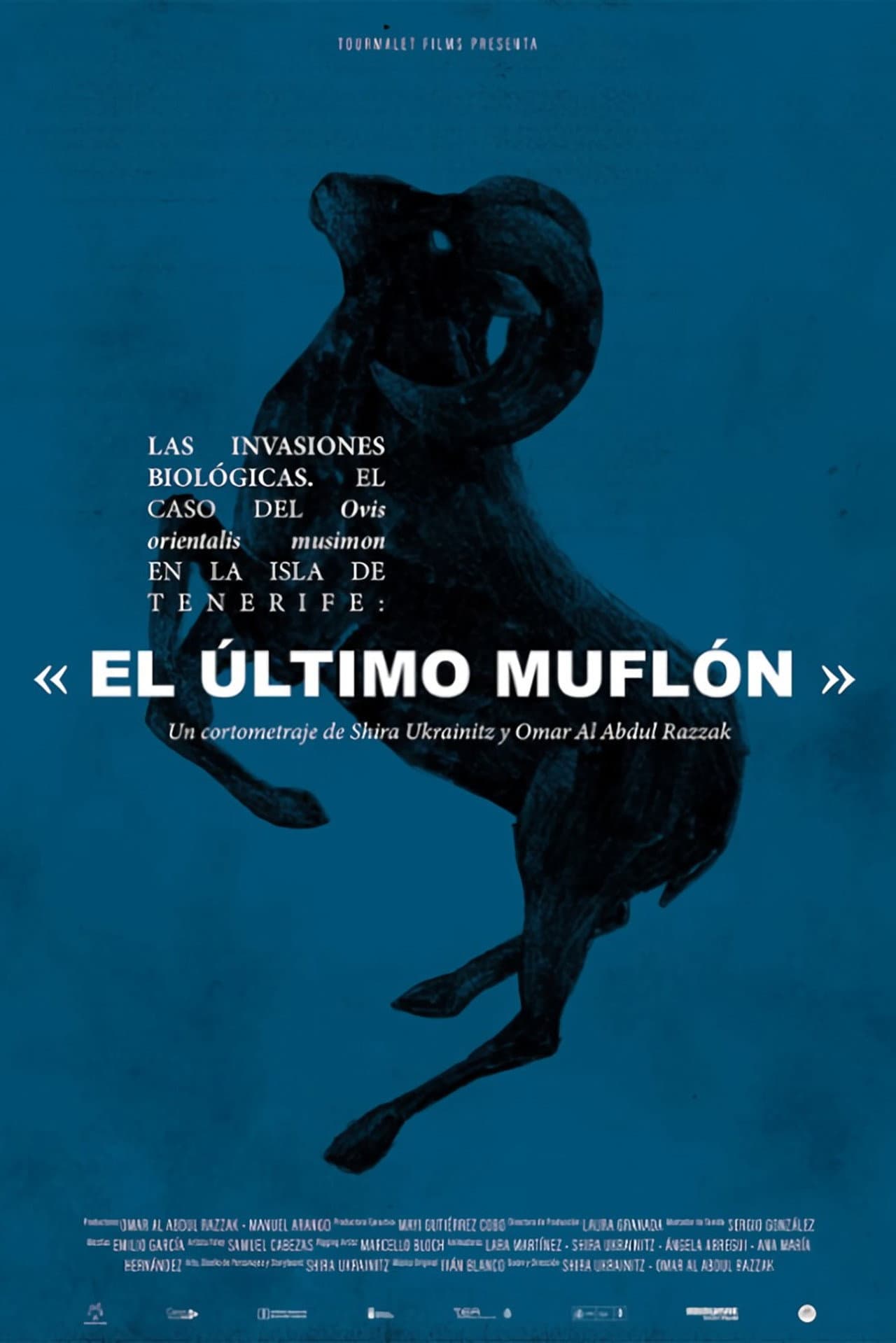 The Biological Invasions. The Case of Ovis Orientalis Musimon on the Island of Tenerife: « The Last Mouflon» preview 1