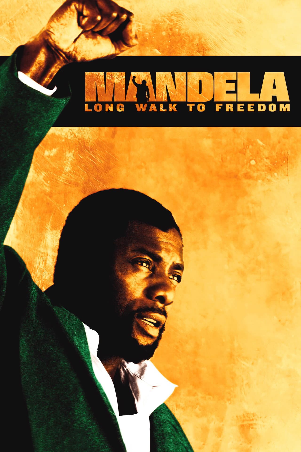 Mandela: Long Walk to Freedom preview 2