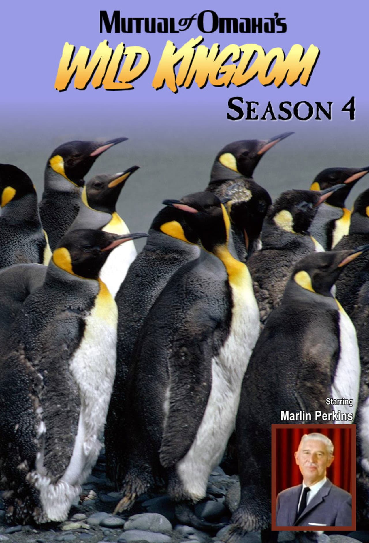 Season 4