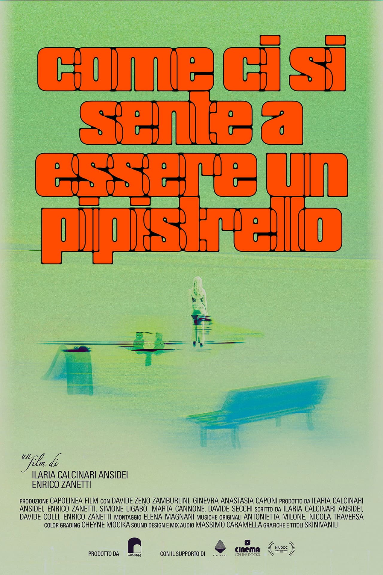 Come ci si sente a essere un pipistrello preview 2