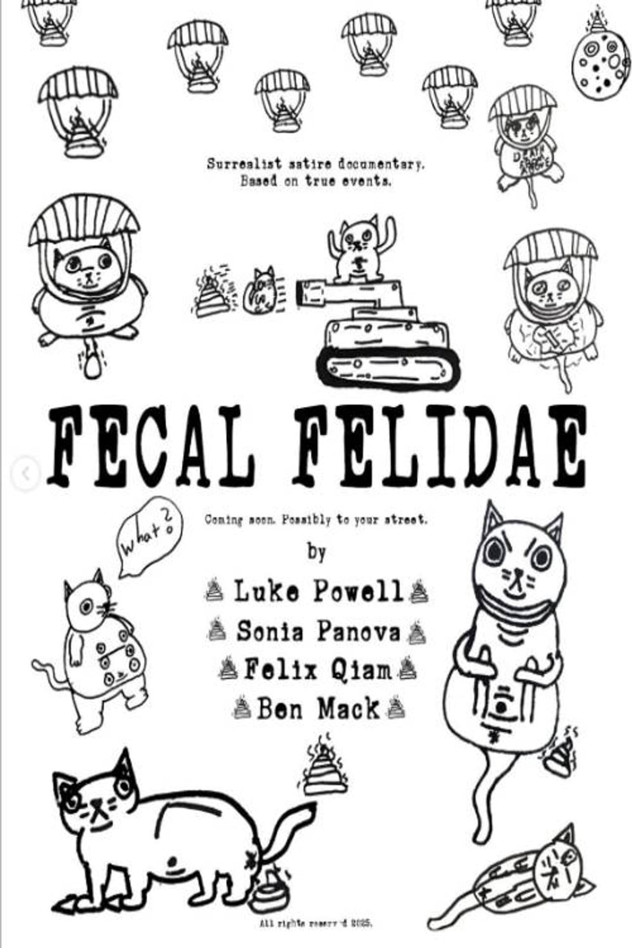 Fecal Felidae preview 2