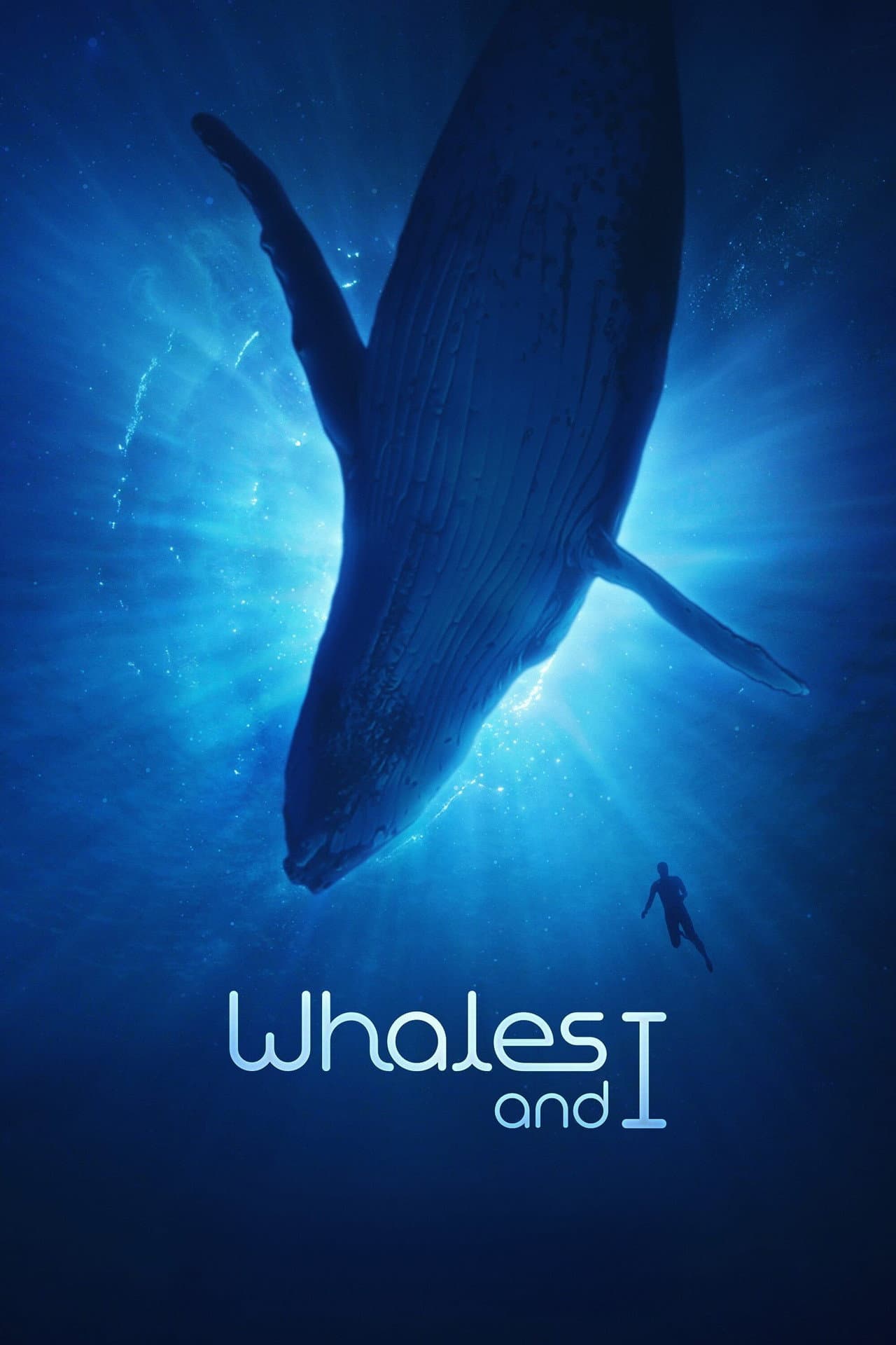 Whales and I preview 2