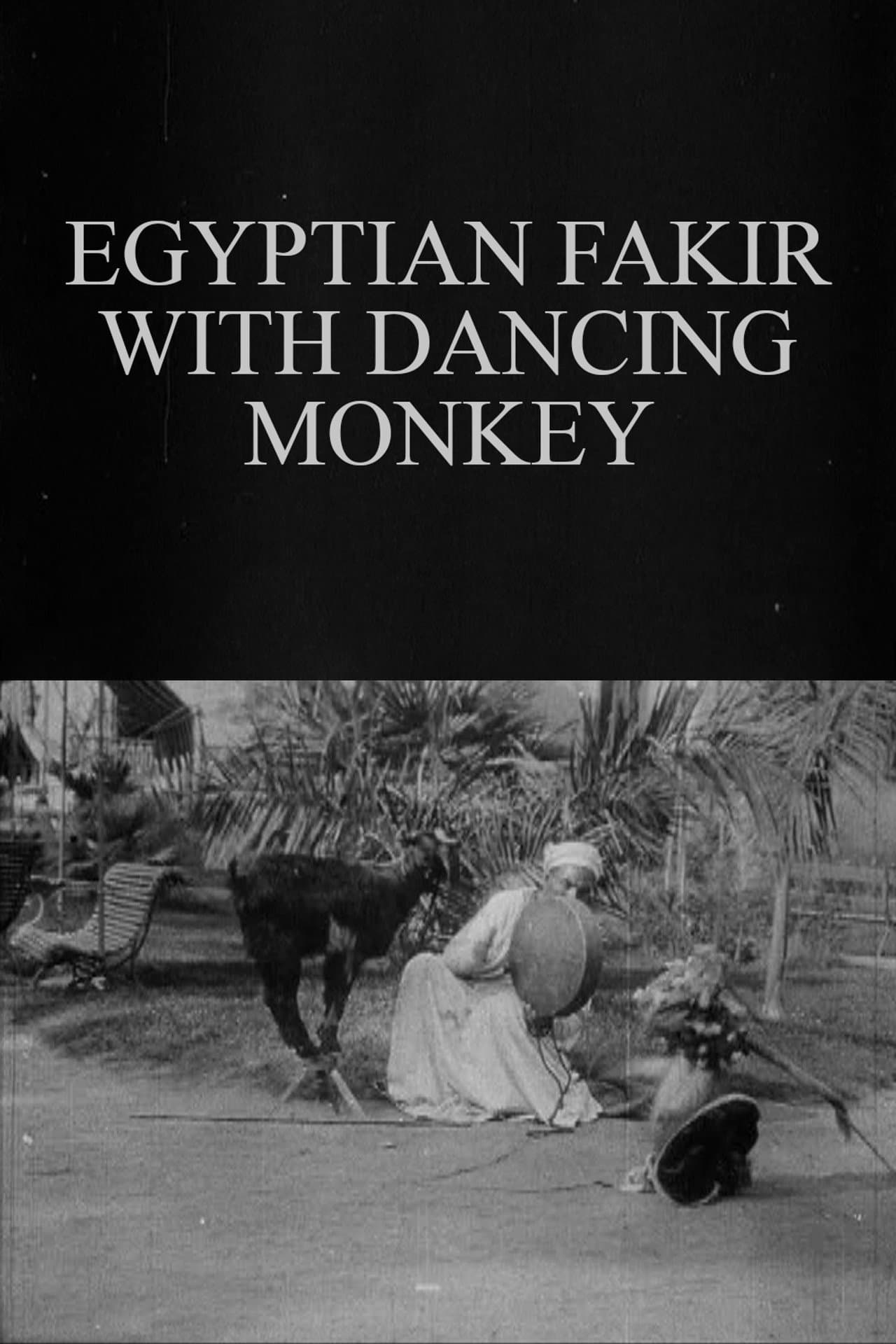 Egyptian Fakir with Dancing Monkey preview 1