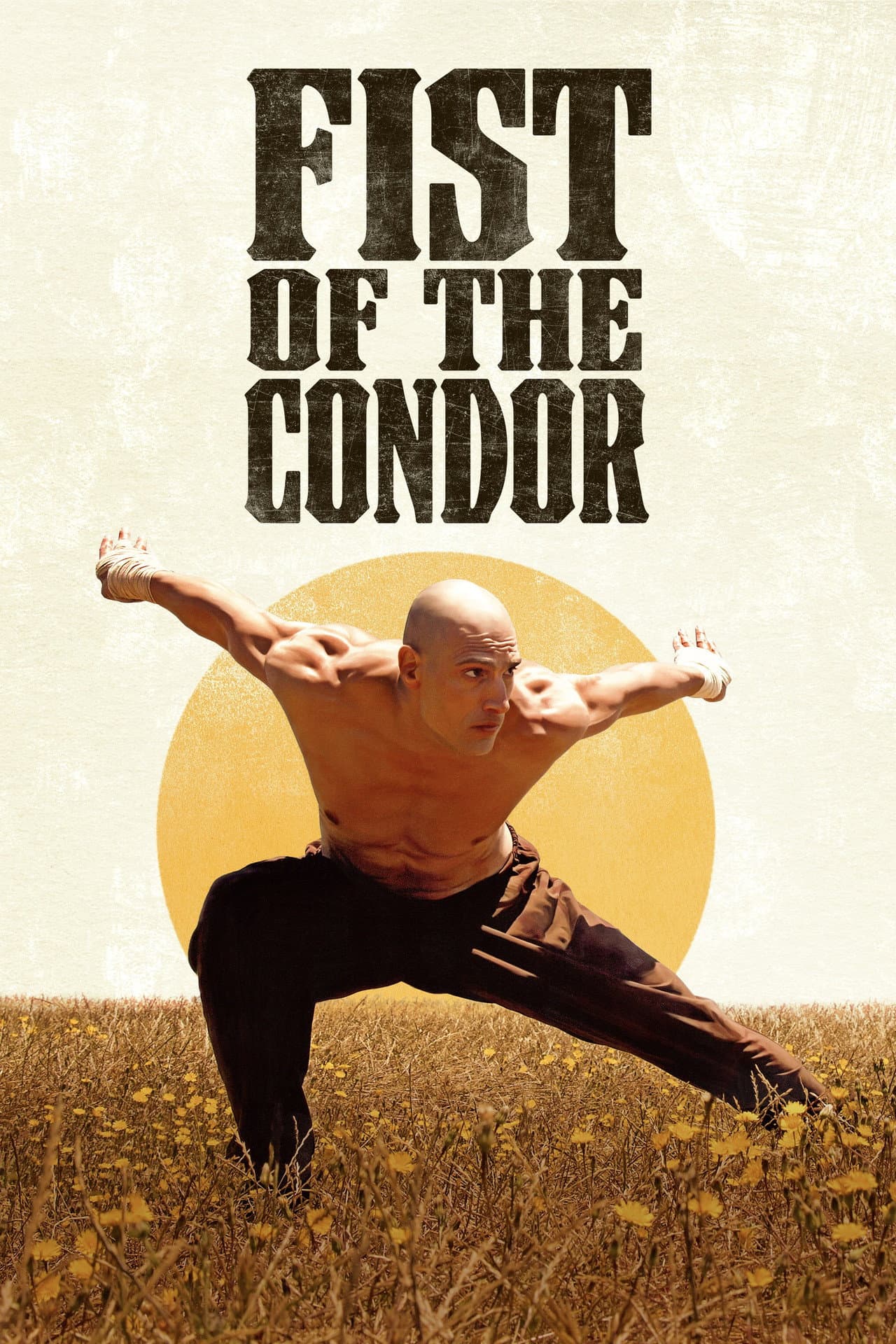 Fist of the Condor preview 2