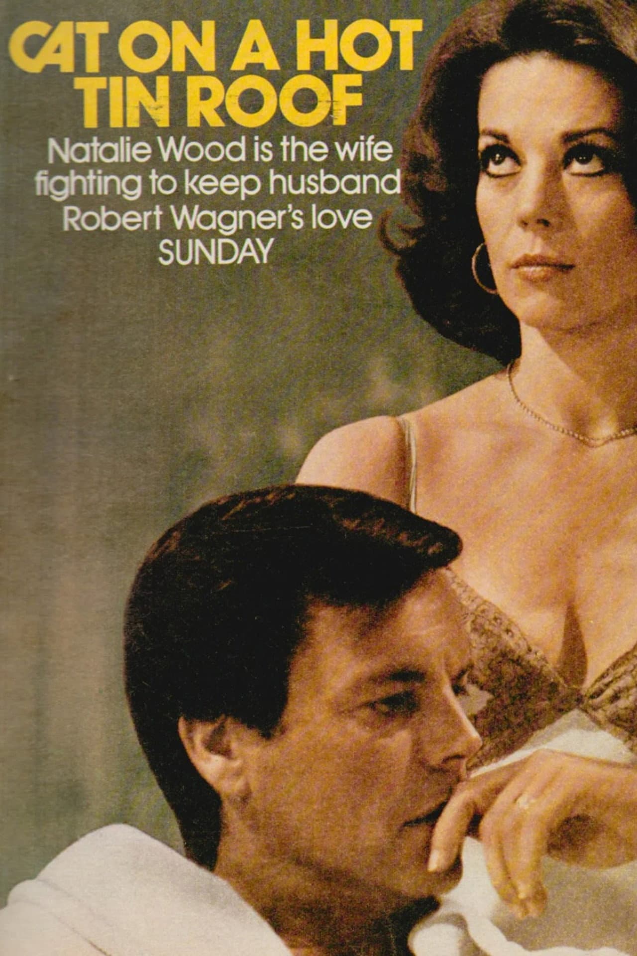 Cat on a Hot Tin Roof preview 2