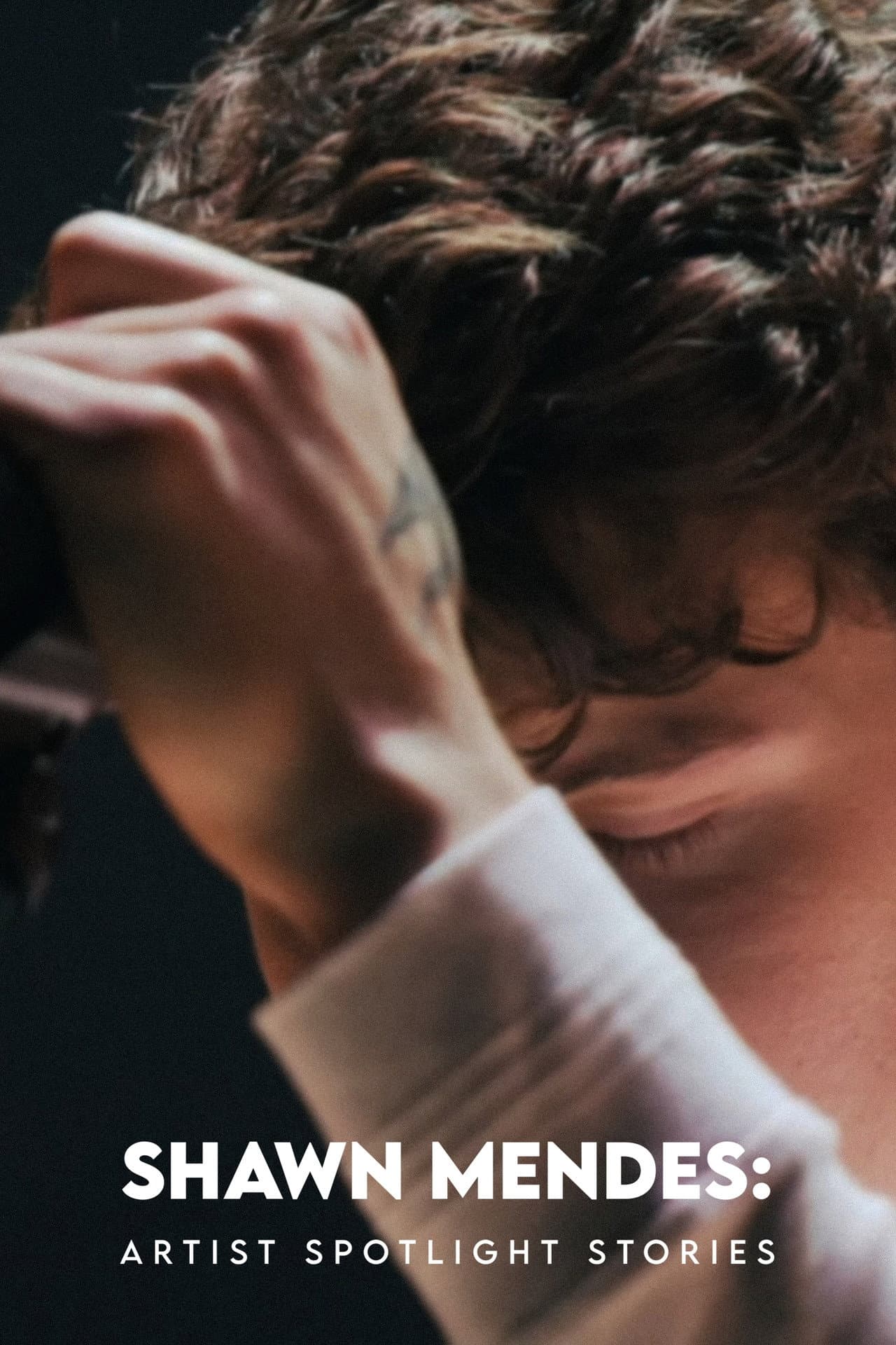 Shawn Mendes: Artist Spotlight Stories preview 2