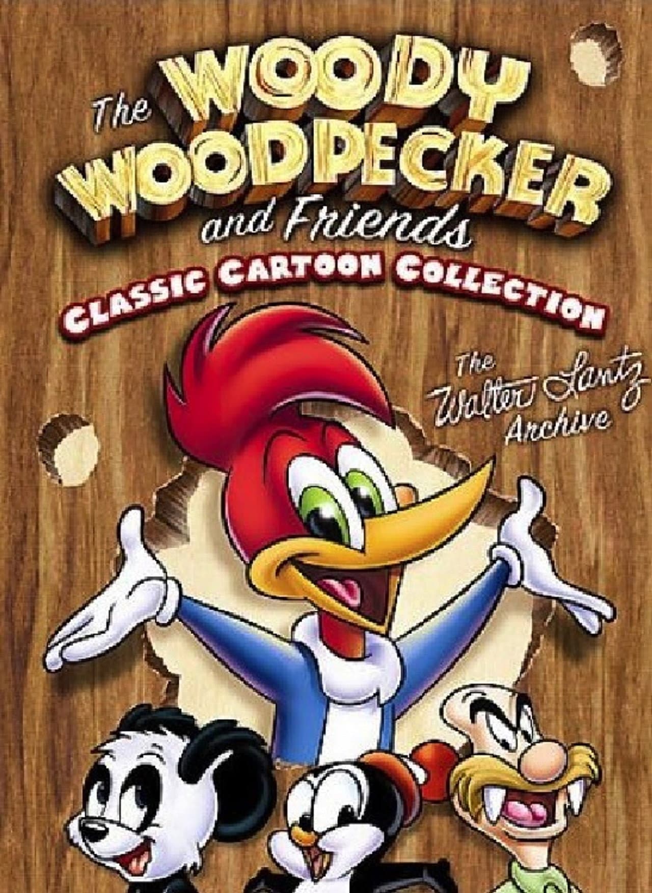 The Woody Woodpecker and Friends Classic Cartoon Collection preview 2