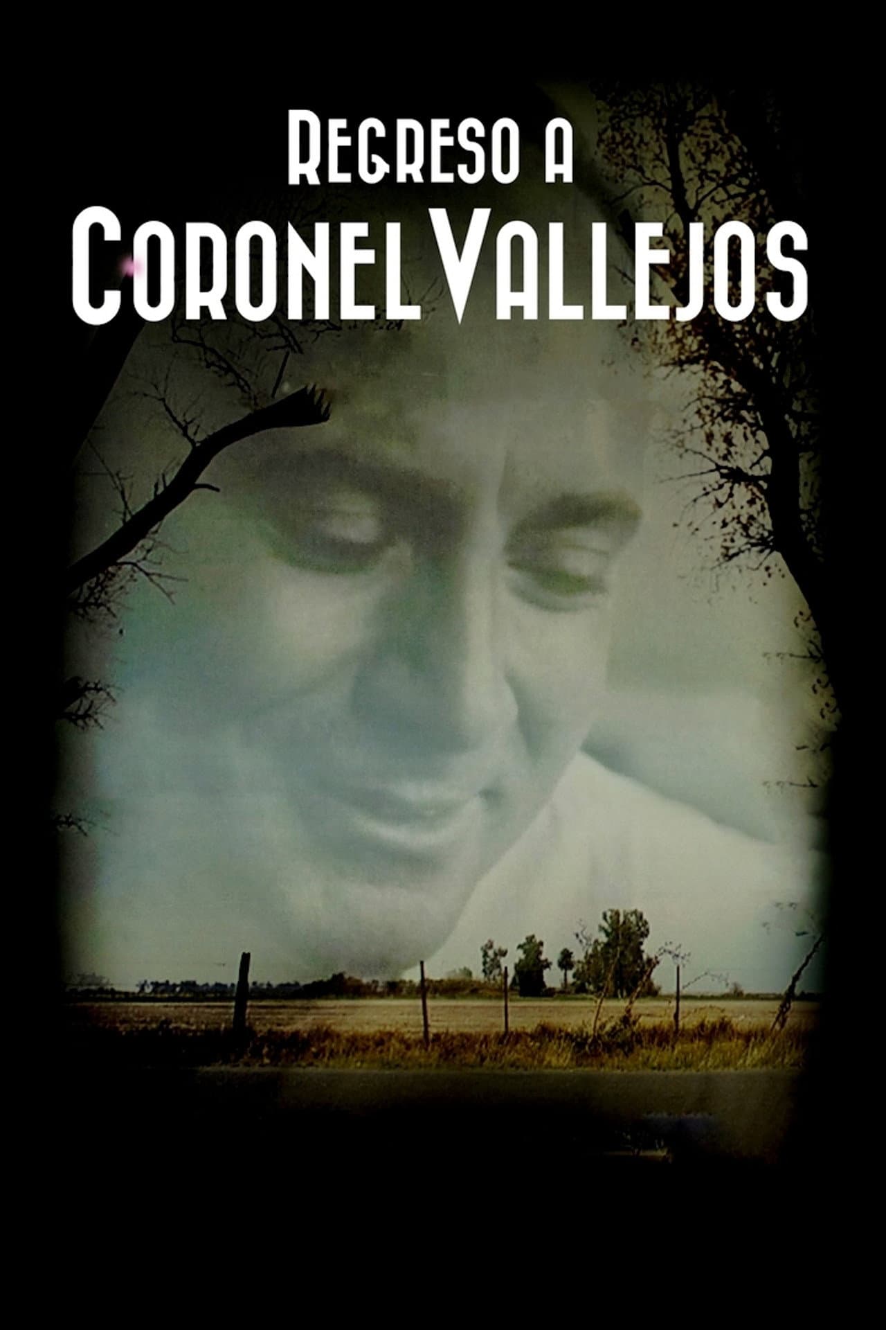 Regreso a Coronel Vallejos preview 2
