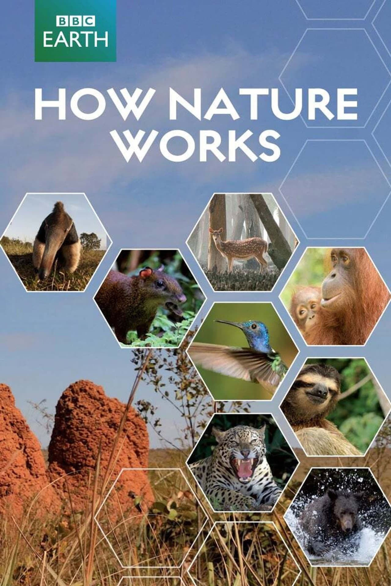 How Nature Works preview 2