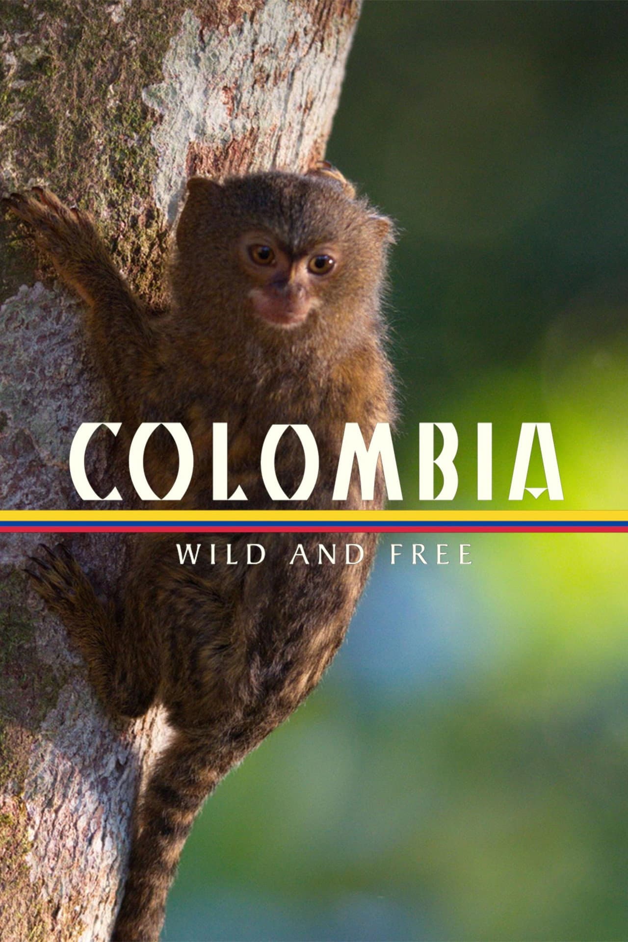Colombia - Wild and Free preview 2