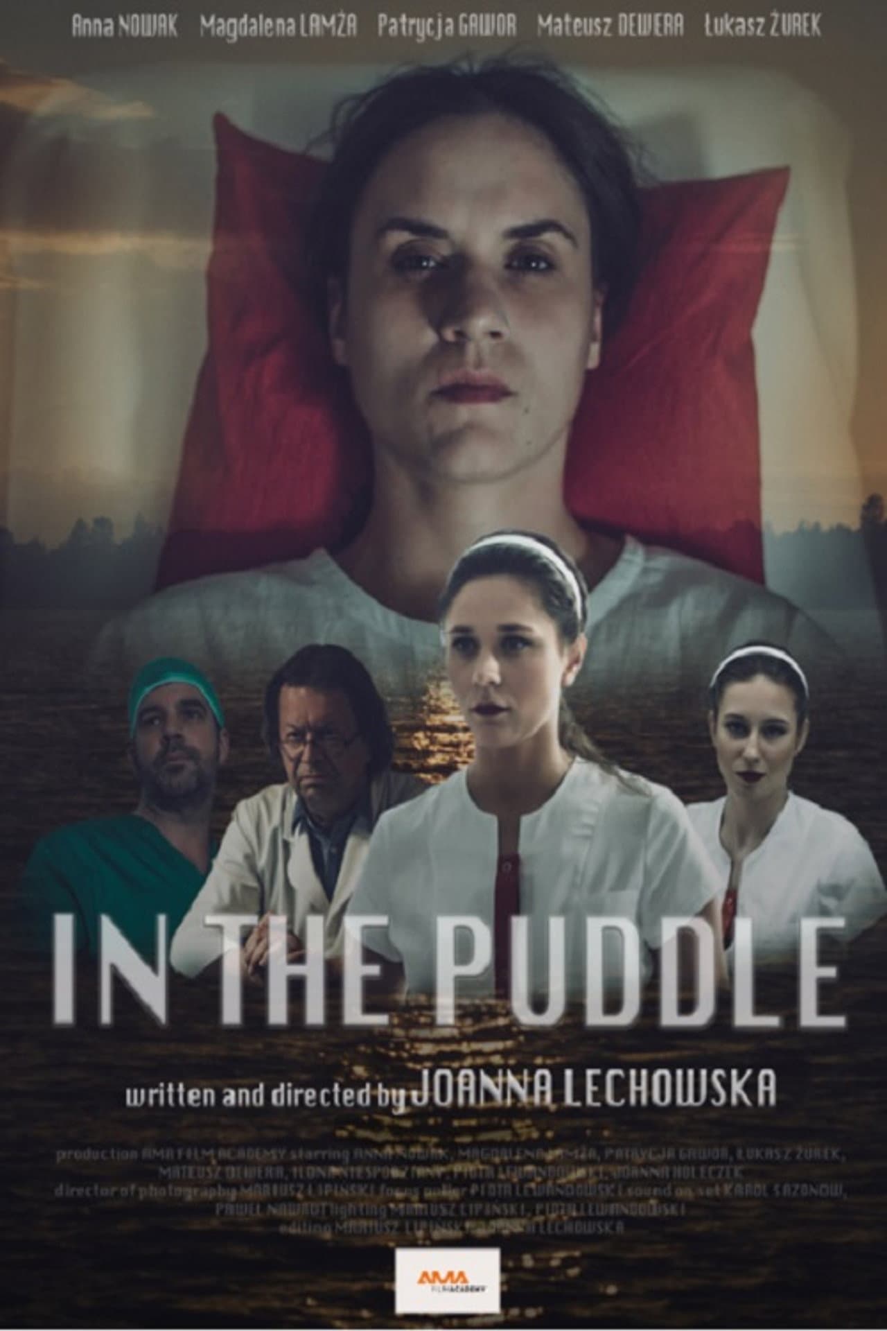In the Puddle preview 1