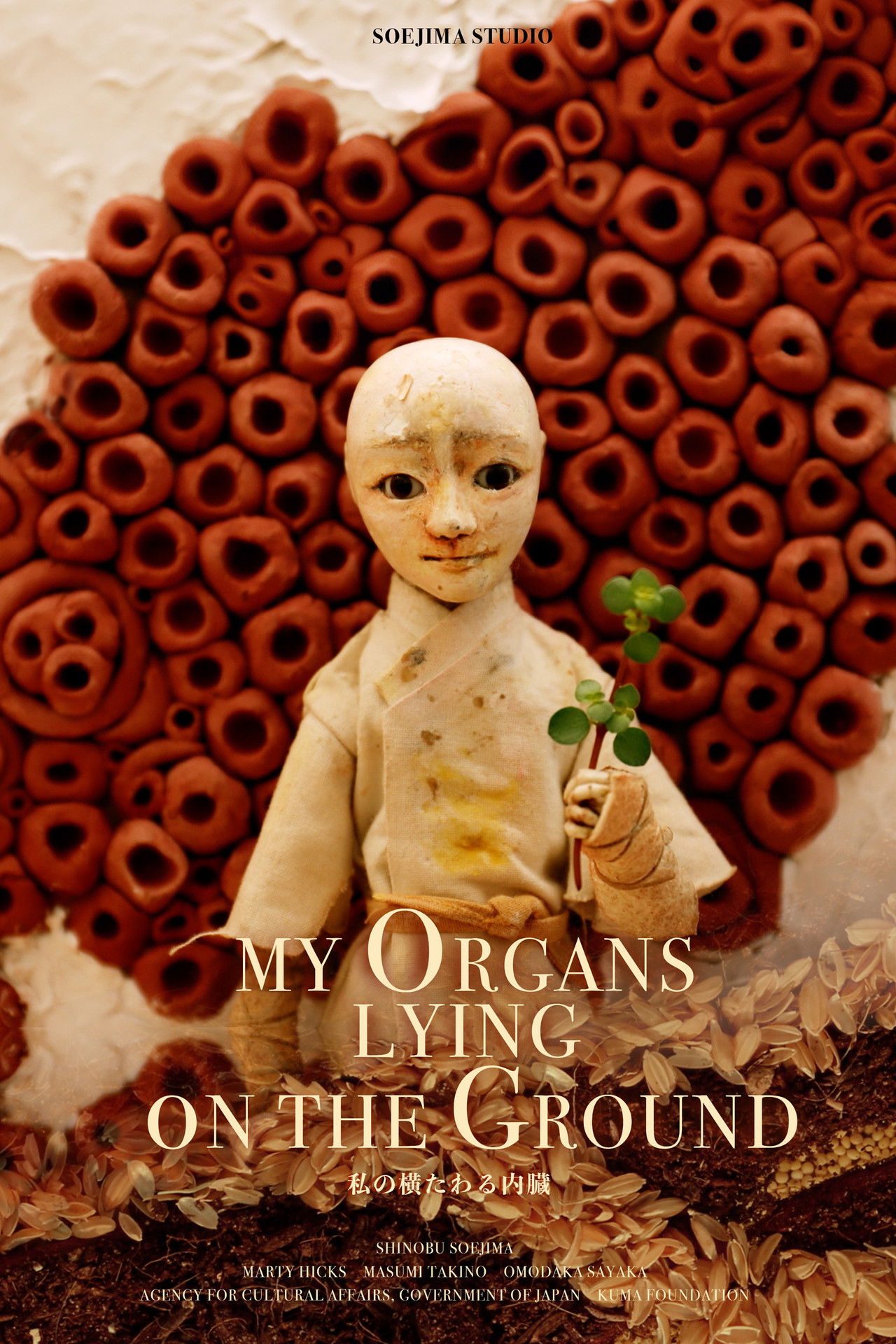 My Organs Lying on the Ground preview 1