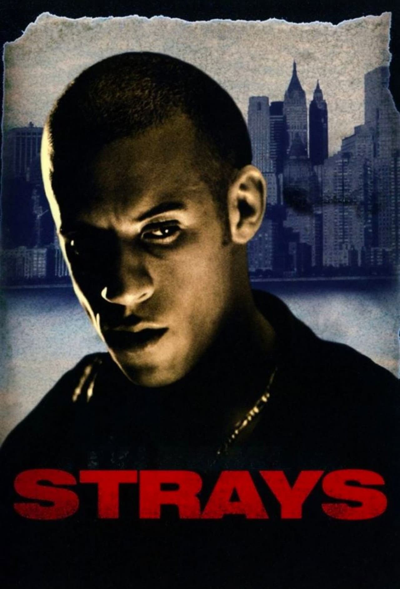 Strays preview 1