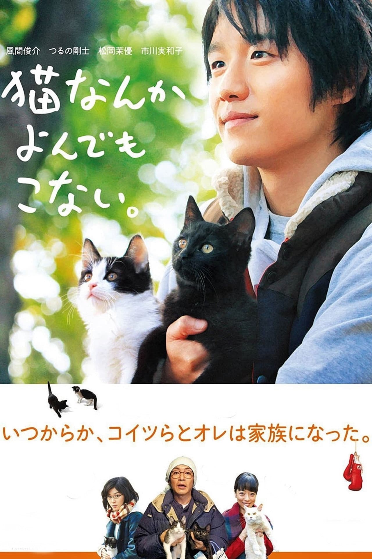 Cats Don't Come When You Call preview 2