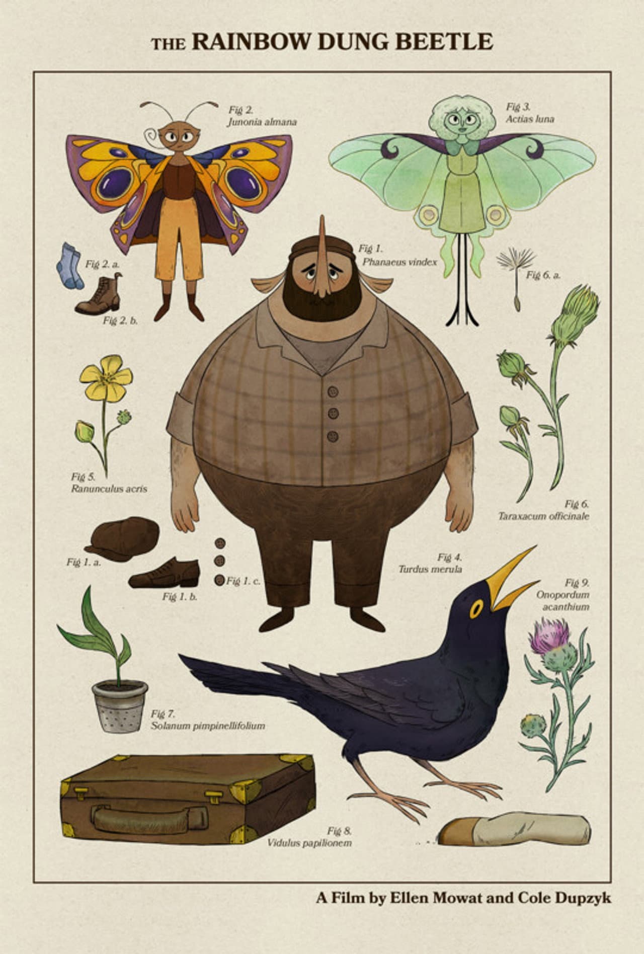The Rainbow Dung Beetle preview 1