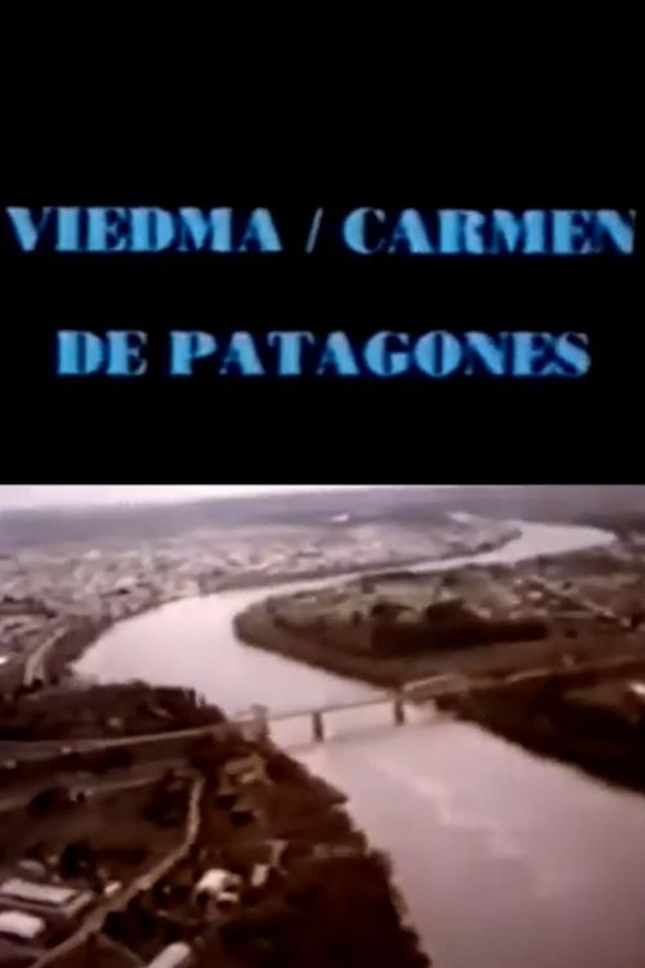 Viedma hoy preview 1