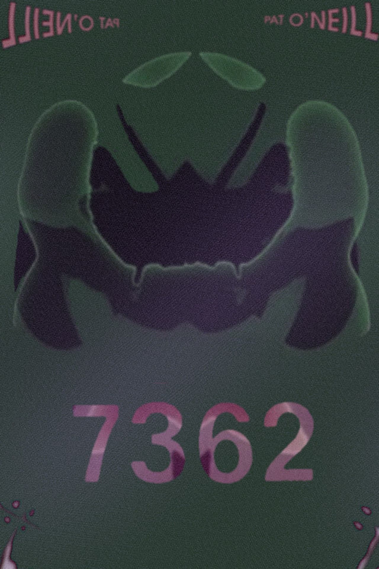 7362 preview 2