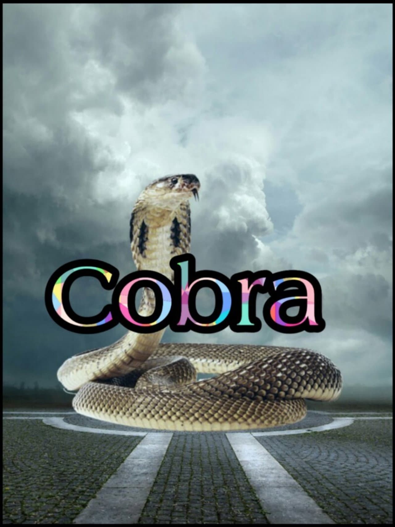 Cobra preview 1