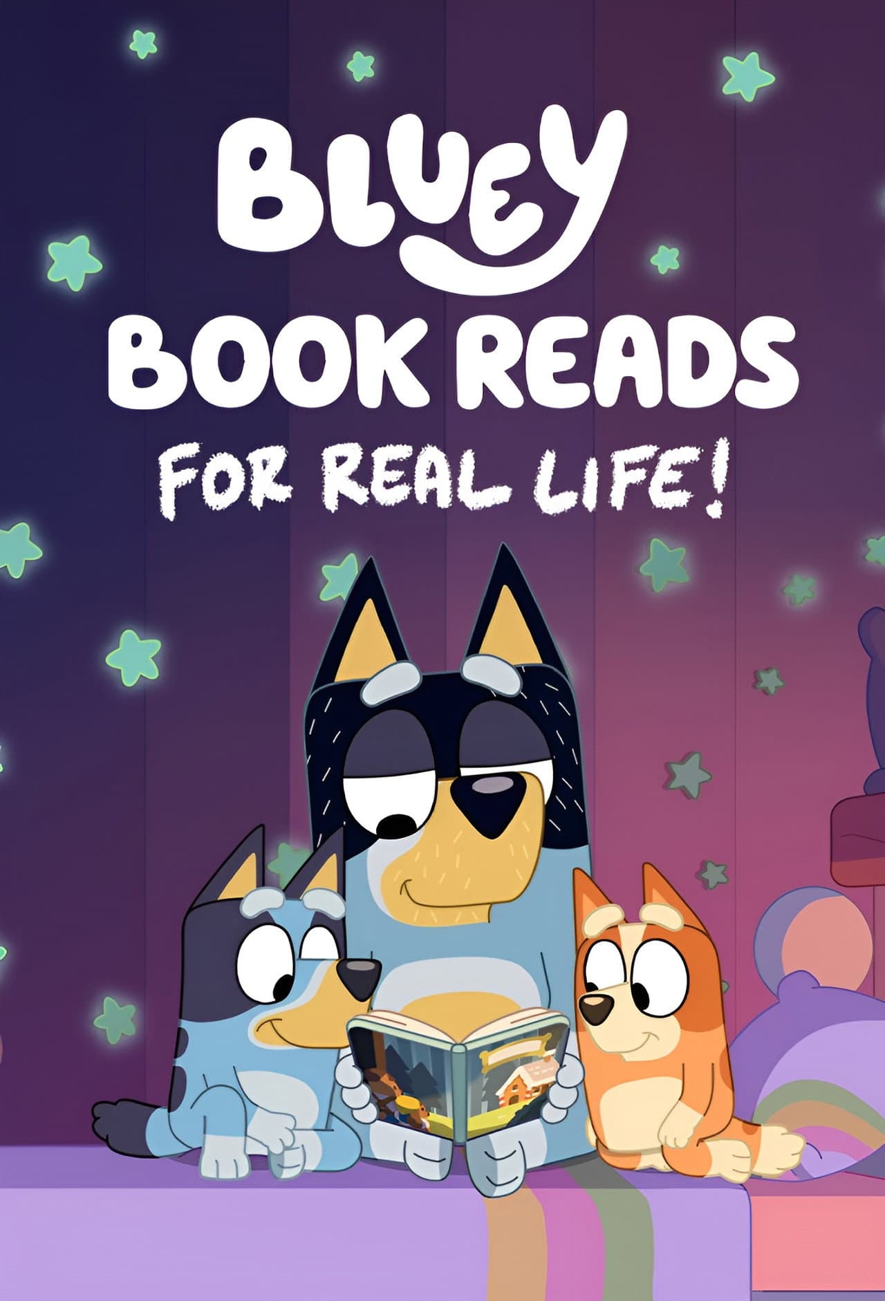 Bluey Book Reads preview 1