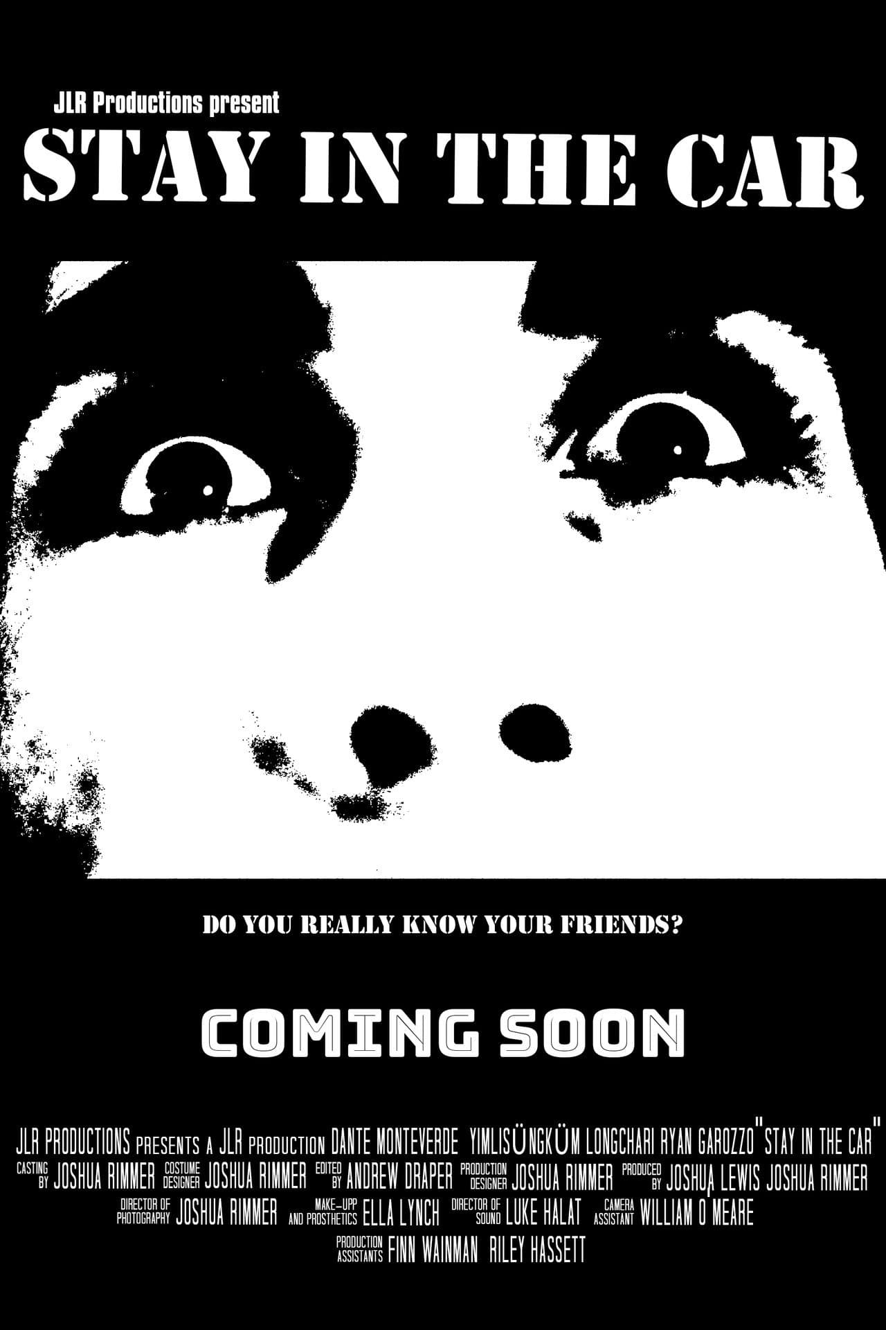 Stay in the Car preview 1