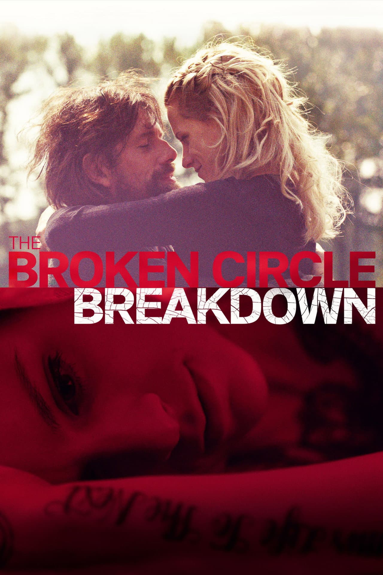 The Broken Circle Breakdown preview 2