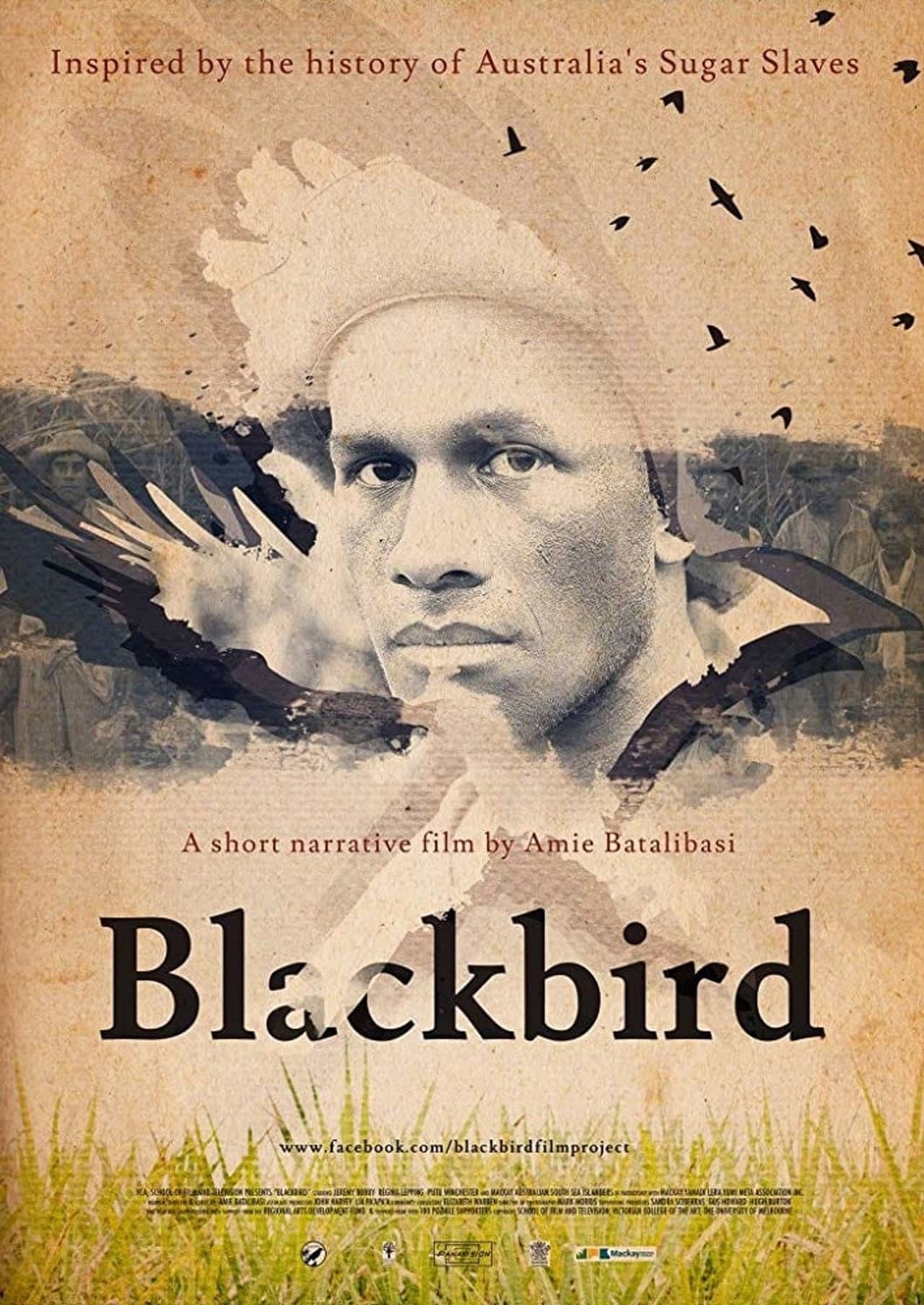 Blackbird preview 1