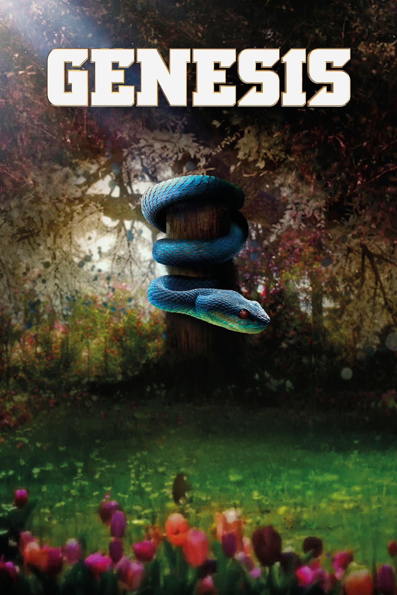 Genesis preview 2