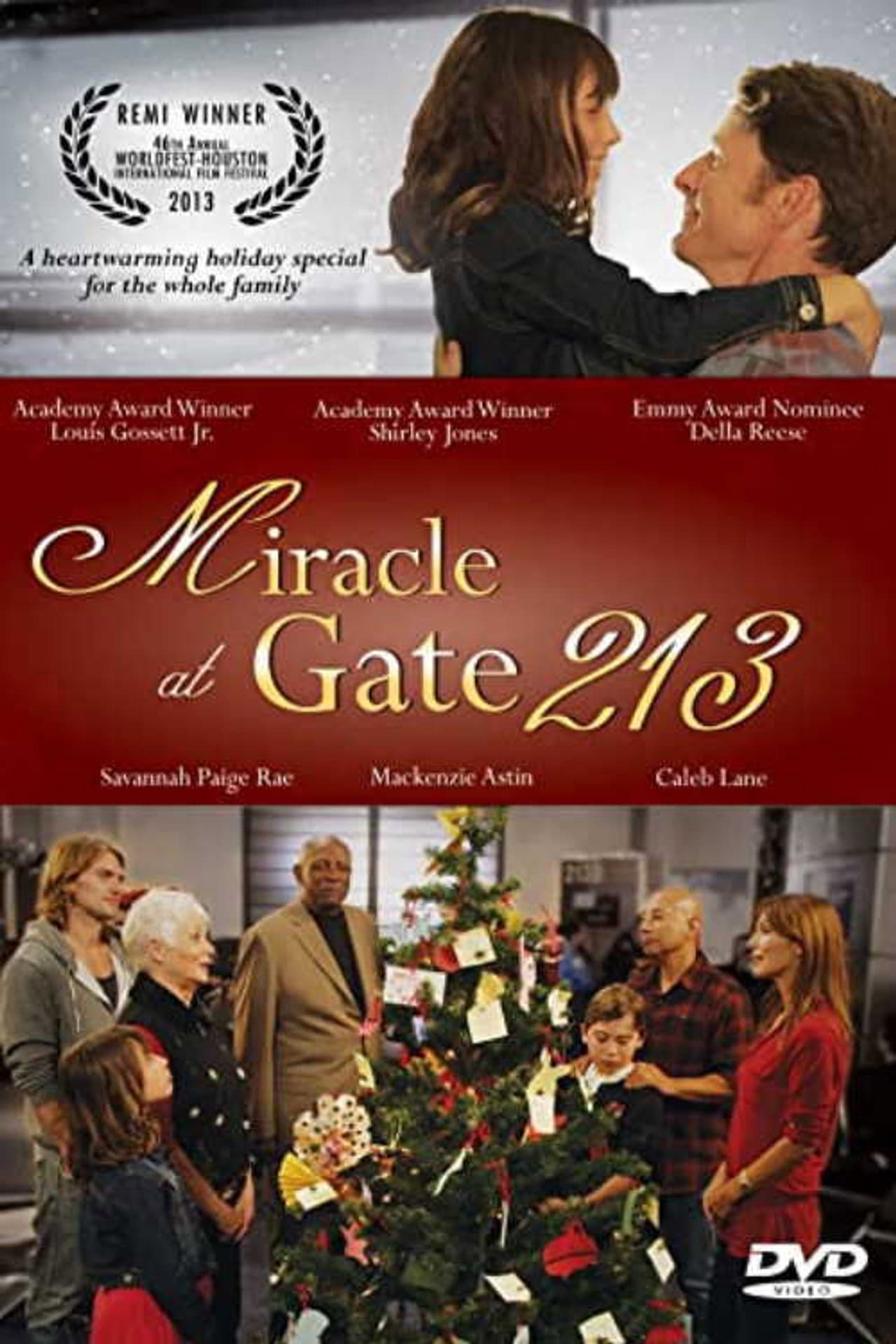 Miracle at Gate 213 preview 1